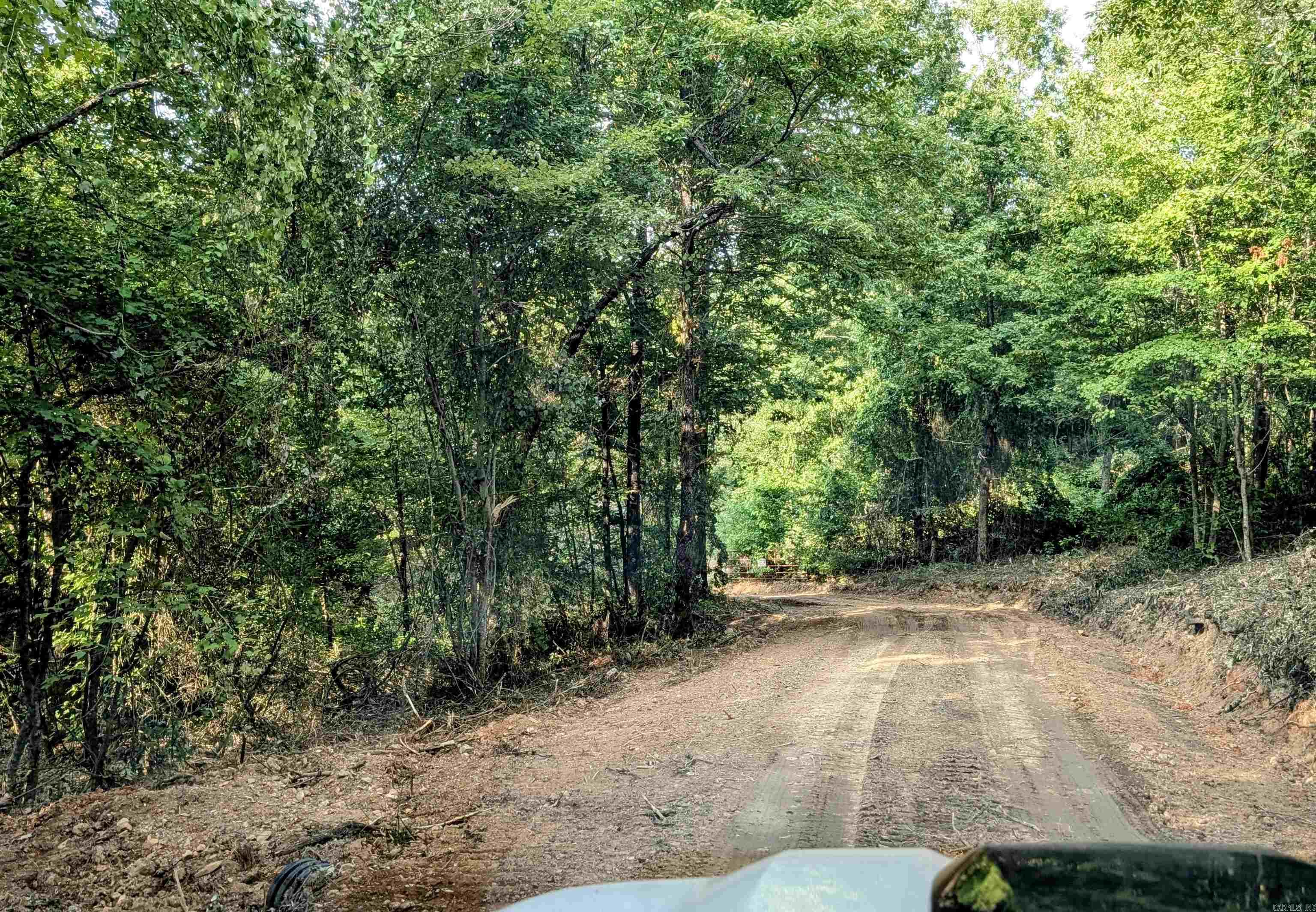 383B Massey Lane Mena, AR 71953