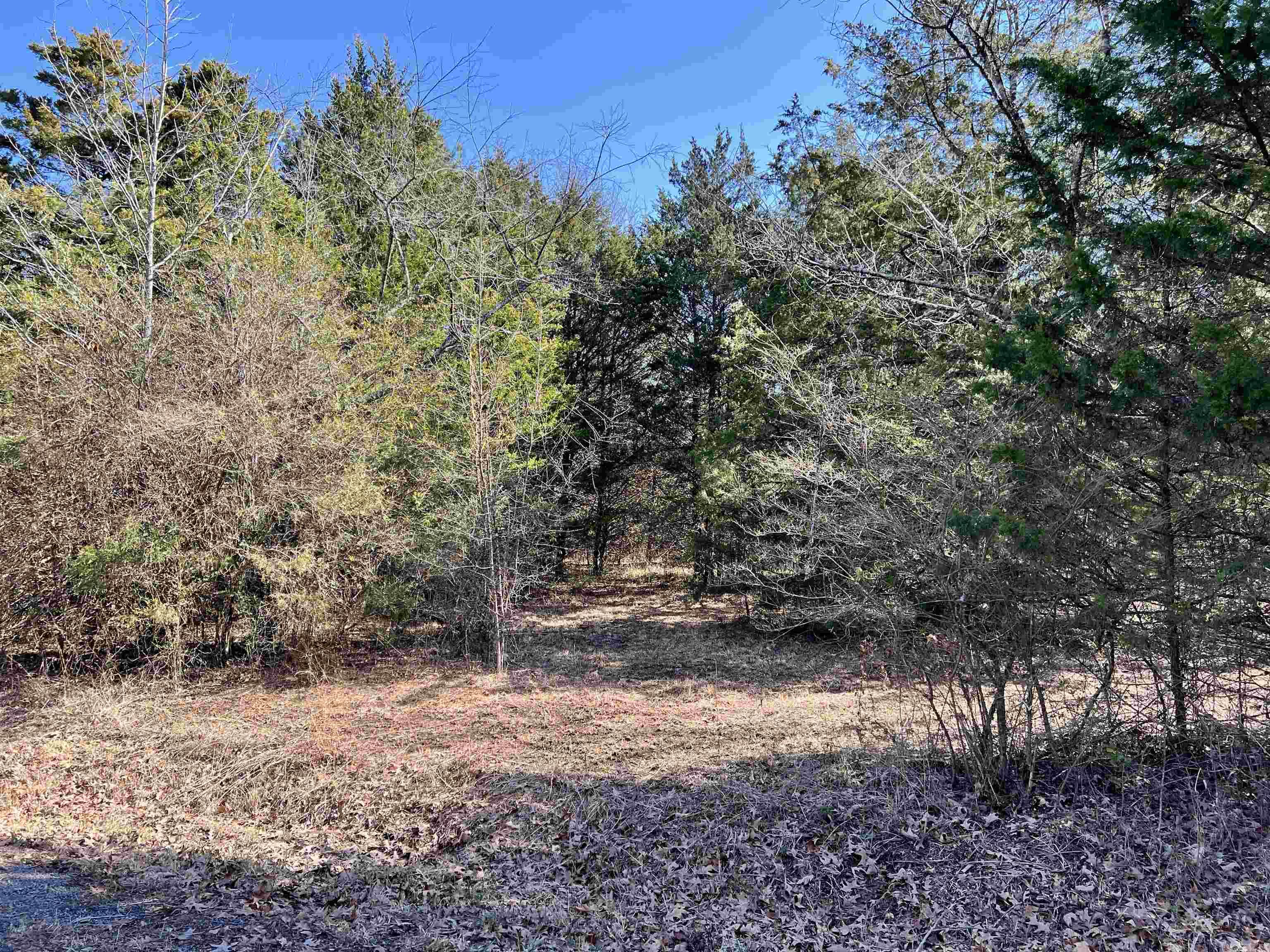 3520  Lena  Jacksonville, AR