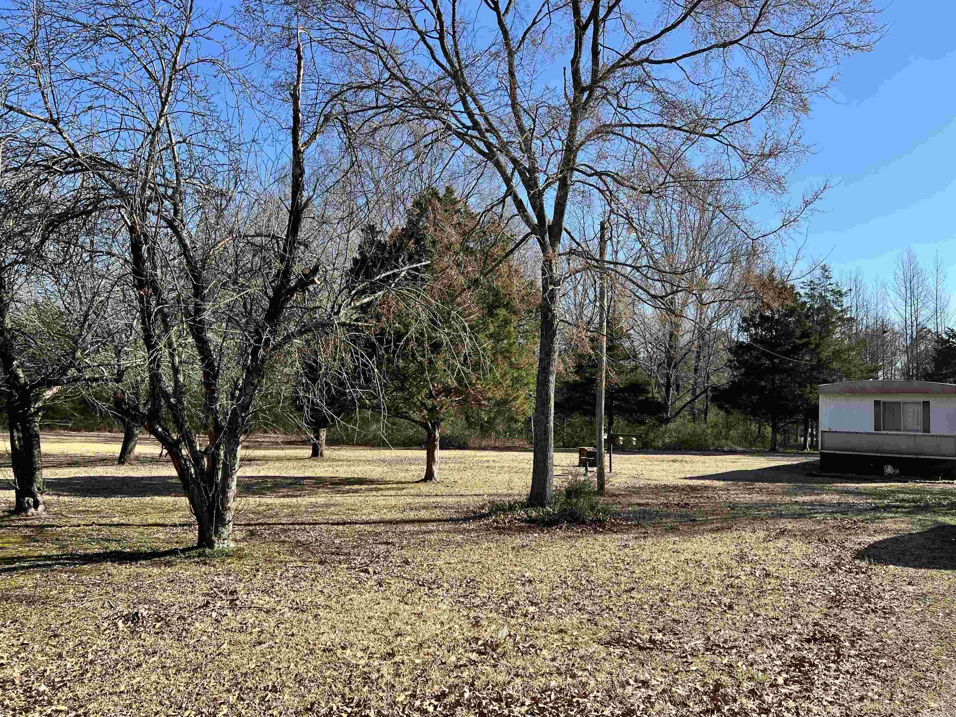 3520  Lena  Jacksonville, AR