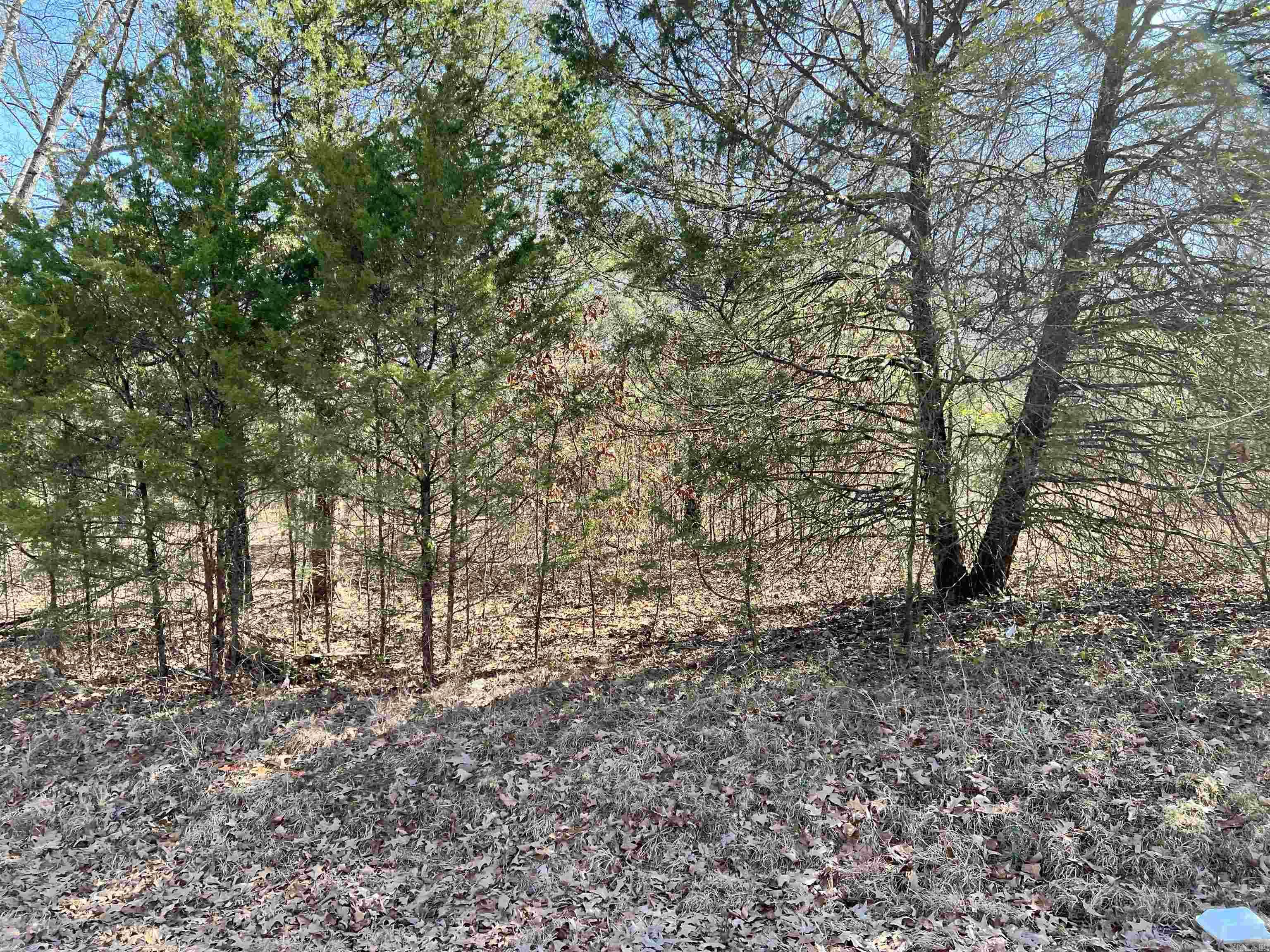 3520  Lena  Jacksonville, AR
