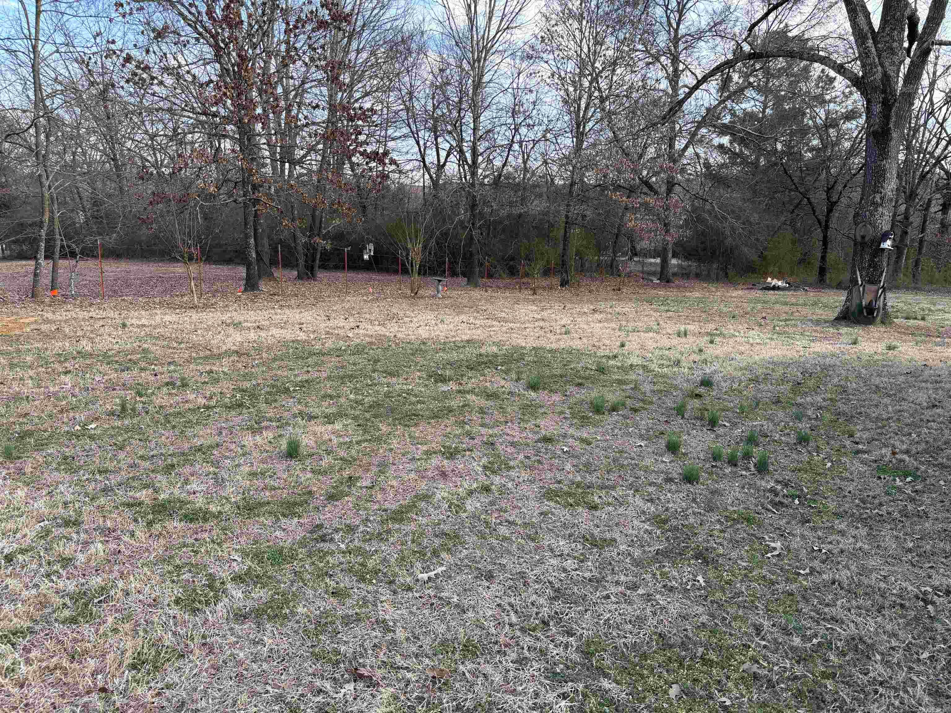 104  Courtney  Searcy, AR