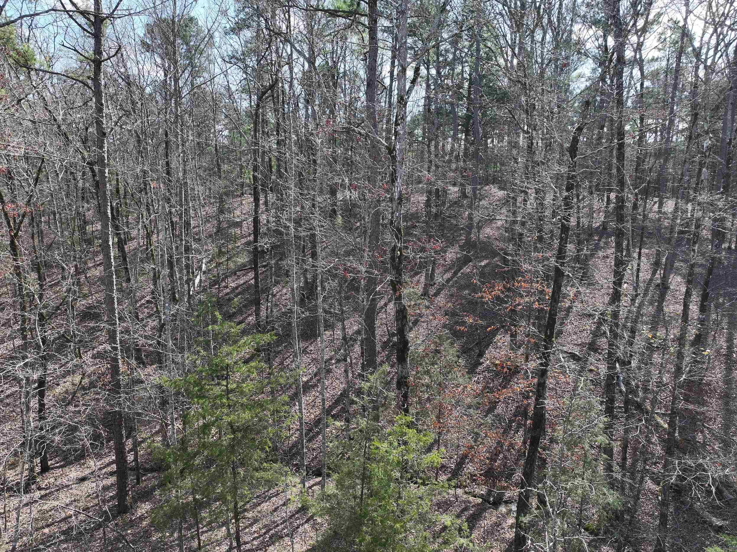 205  Denby Cove LOT 18 Mount Ida, AR