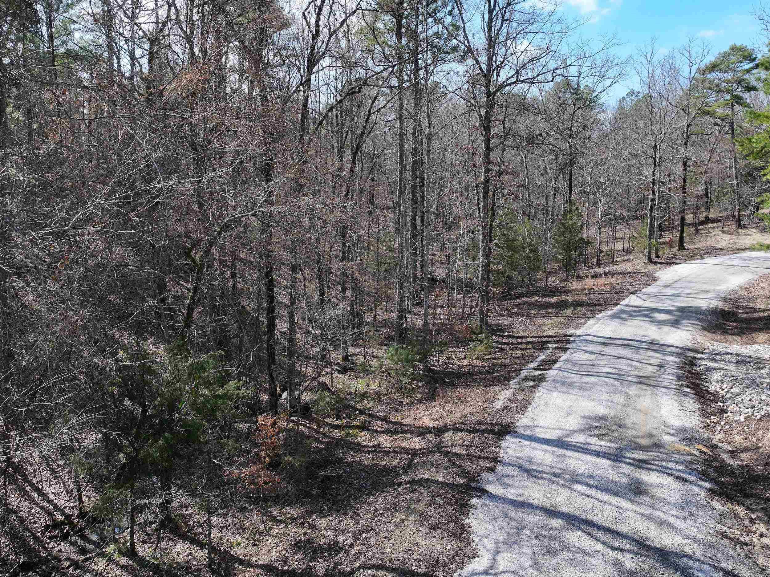 205  Denby Cove LOT 18 Mount Ida, AR