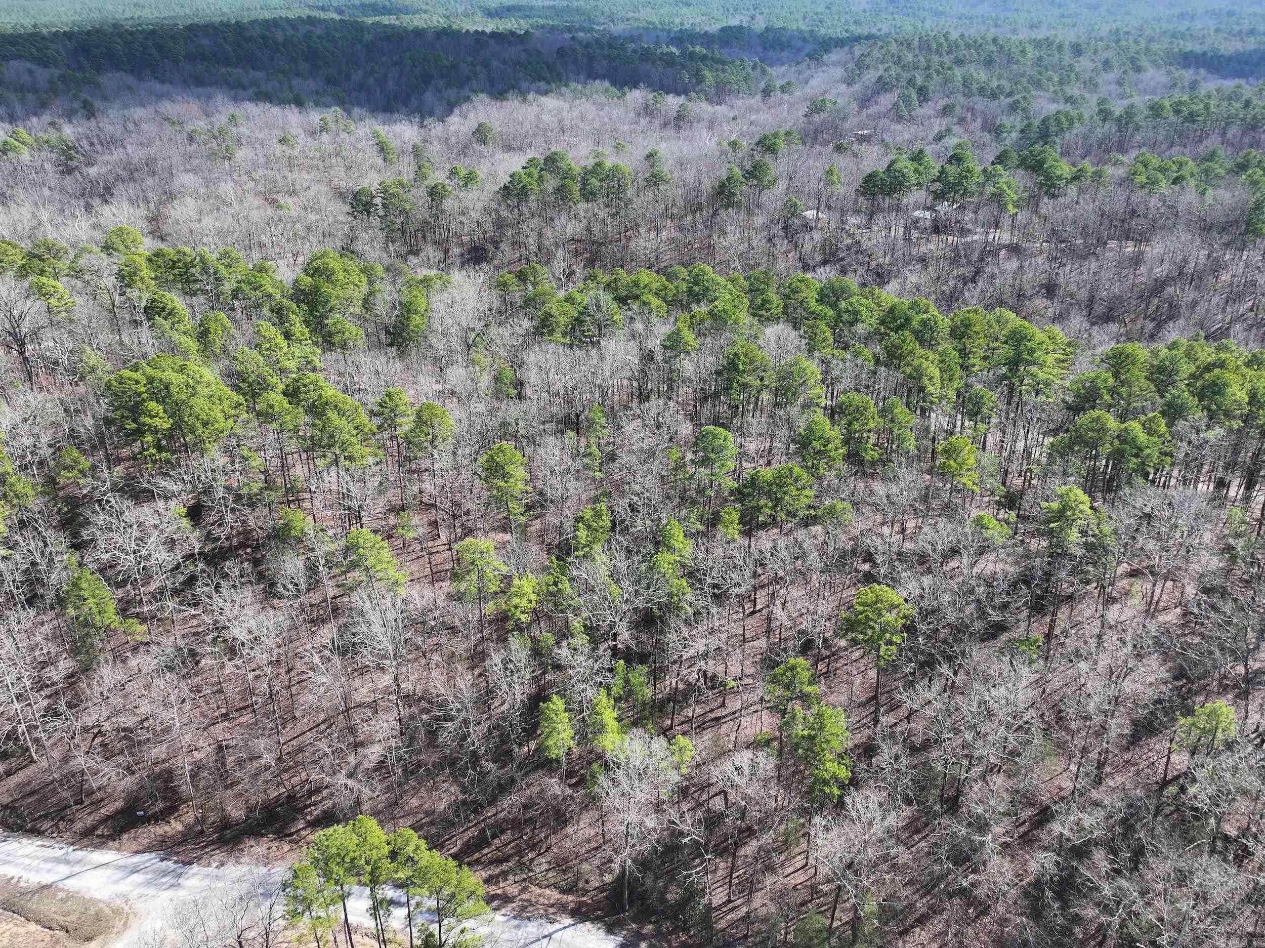 205  Denby Cove LOT 18 Mount Ida, AR