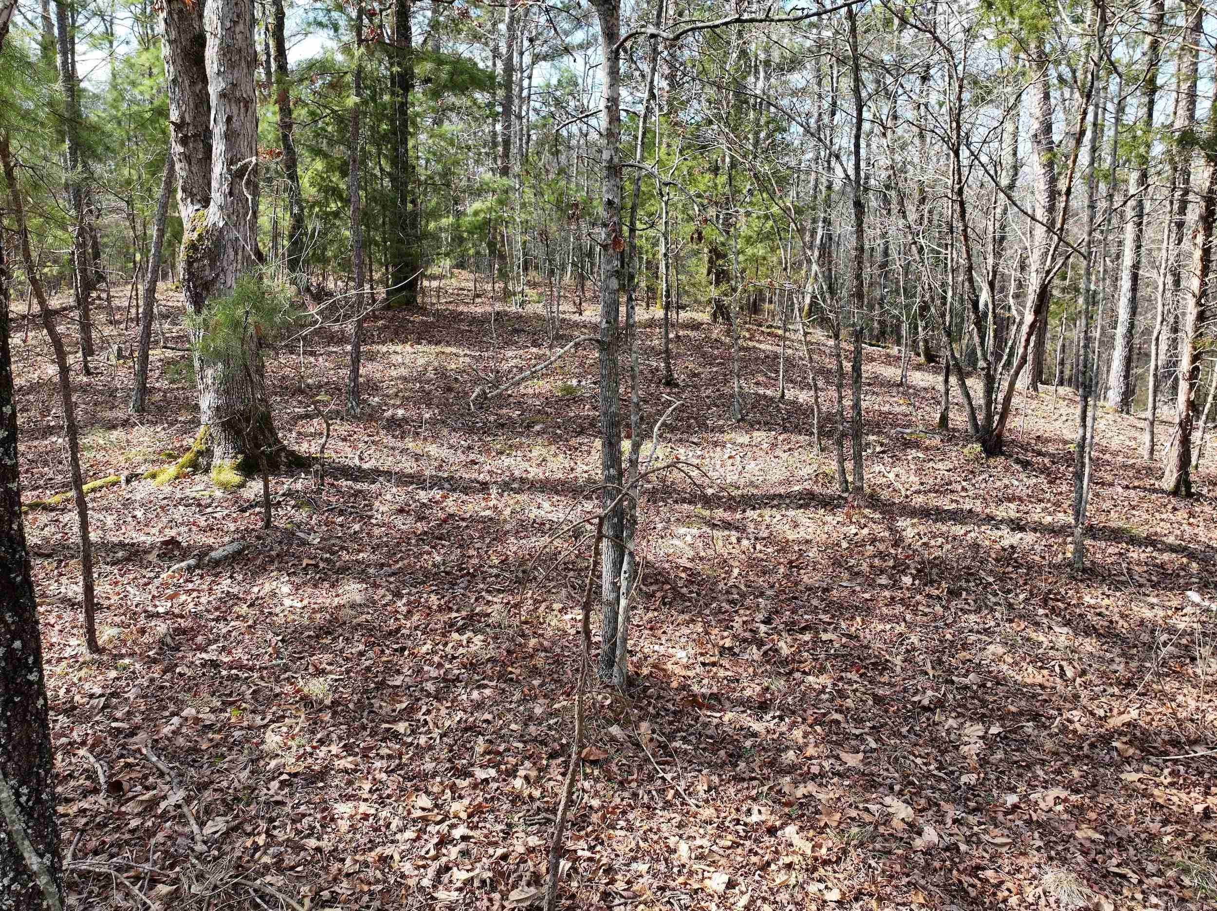 205  Denby Cove LOT 18 Mount Ida, AR