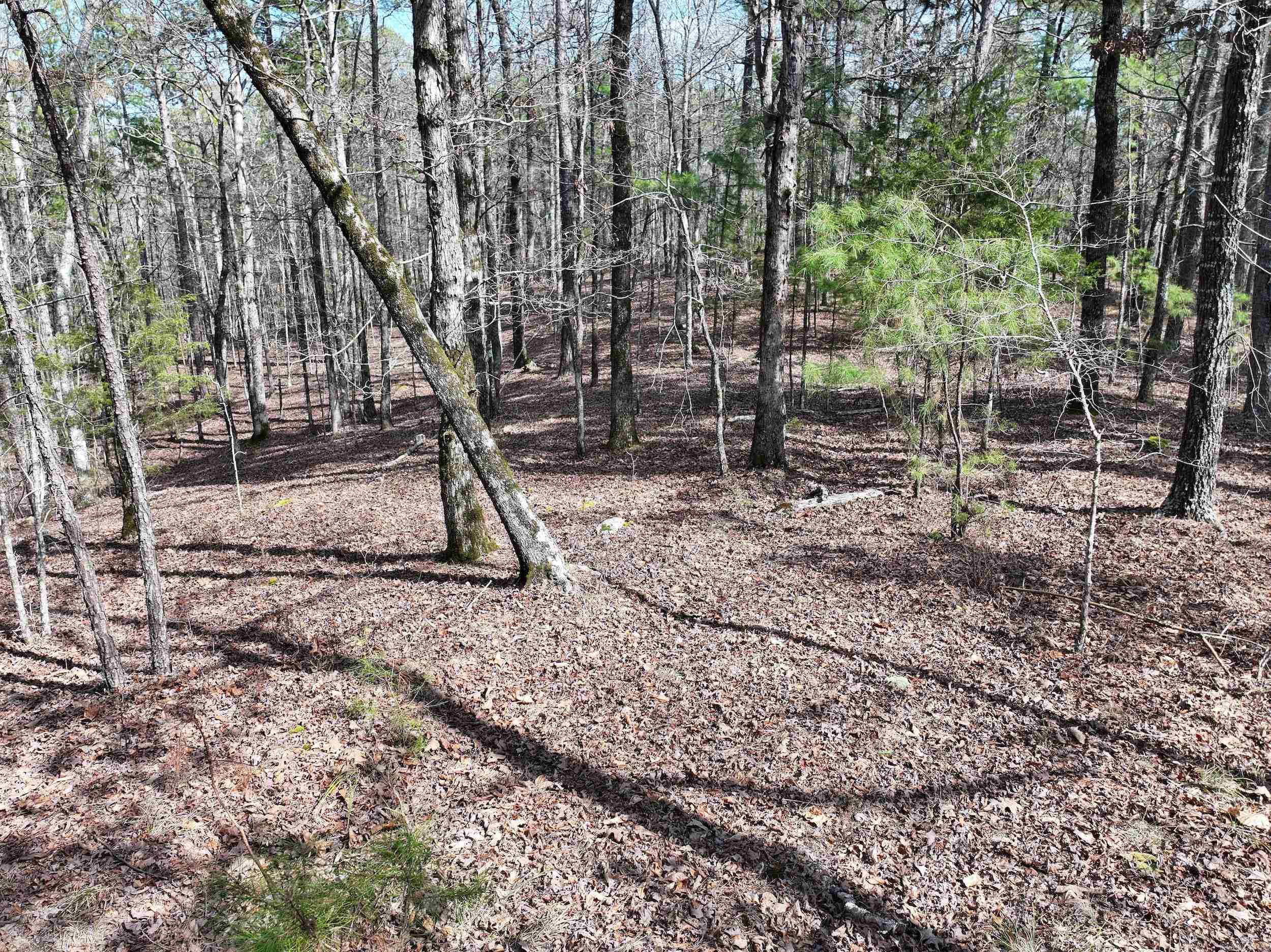 205  Denby Cove LOT 18 Mount Ida, AR