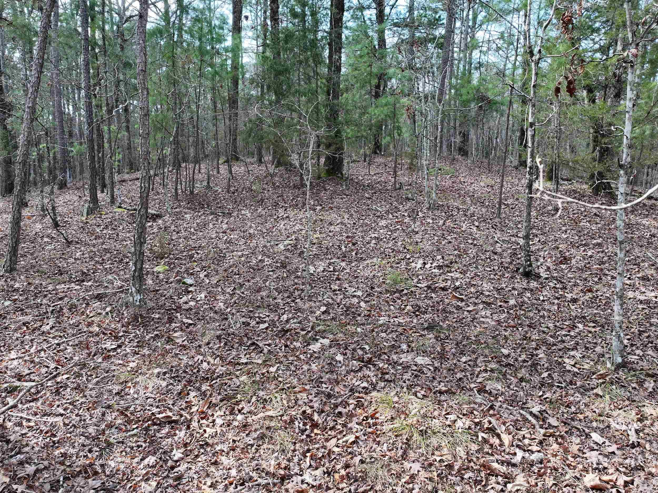 205  Denby Cove LOT 18 Mount Ida, AR