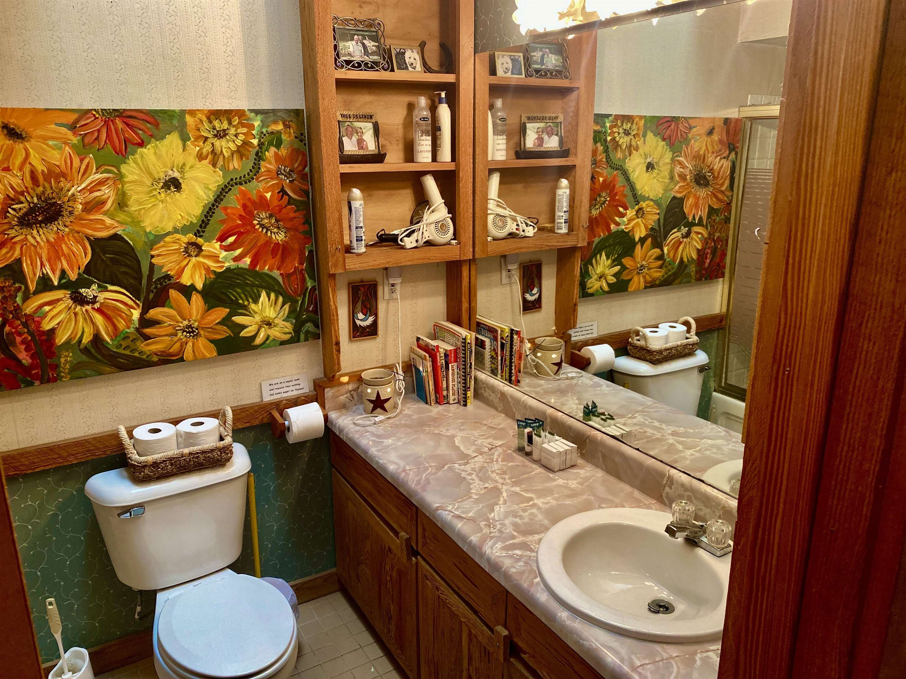   895 Saddler Falls Rd., Mammoth Spring, Arkansas 72  Mammoth Spring, AR