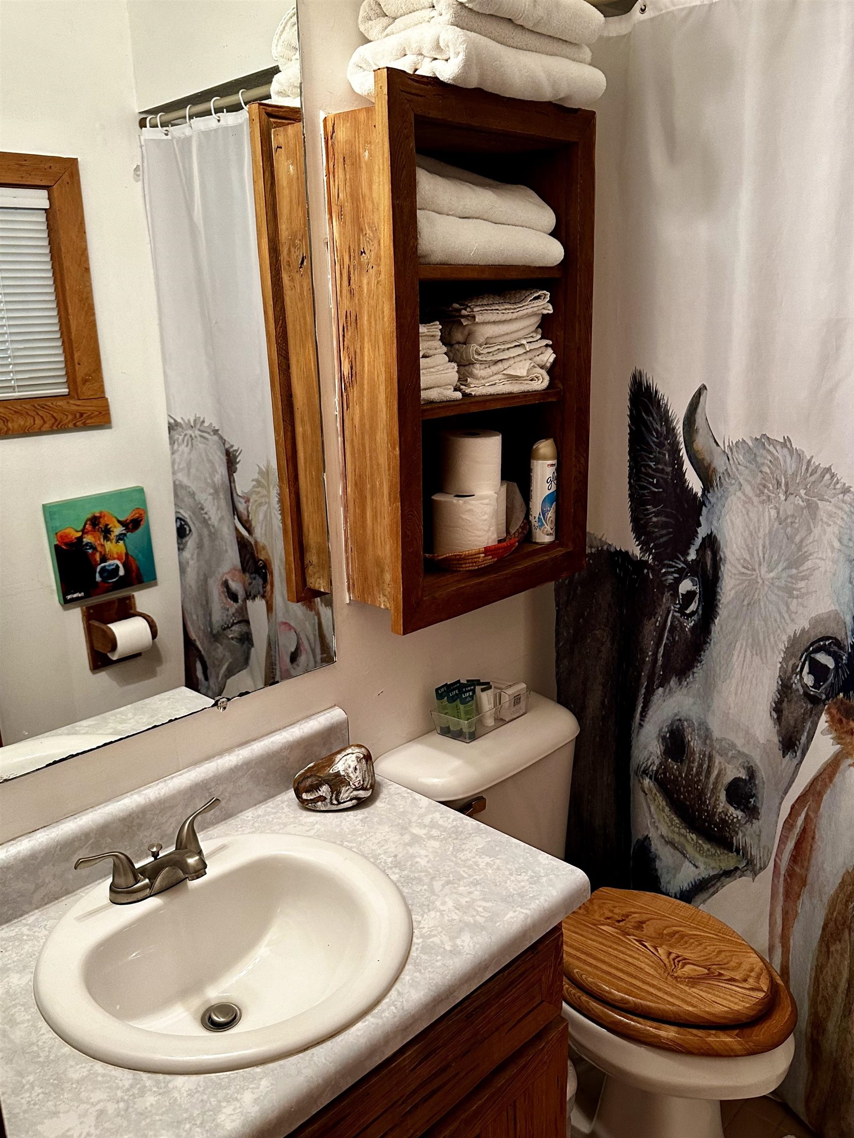   895 Saddler Falls Rd., Mammoth Spring, Arkansas 72  Mammoth Spring, AR