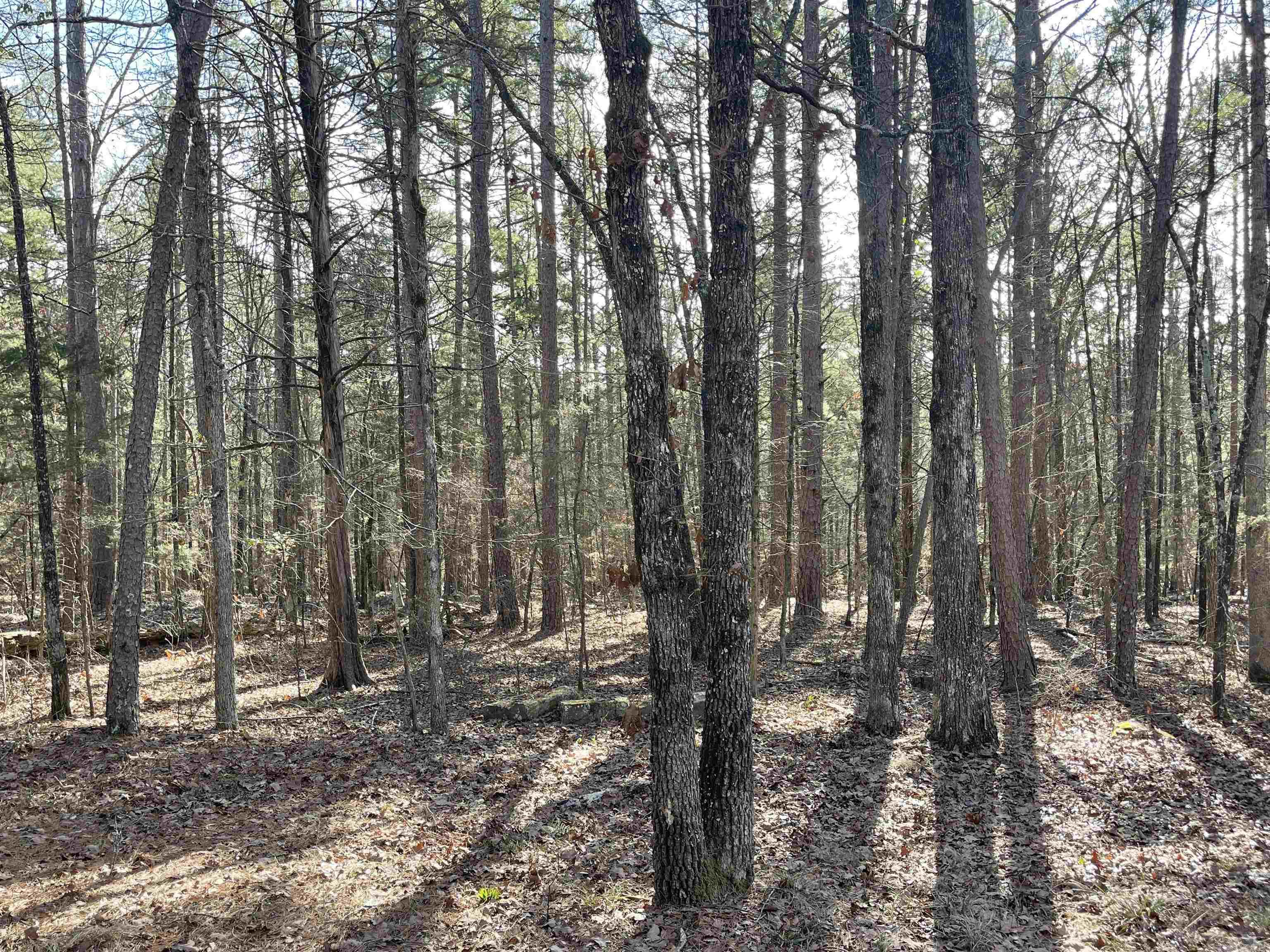 Lot 476 Hersfeld Rd. Drasco, AR 72530