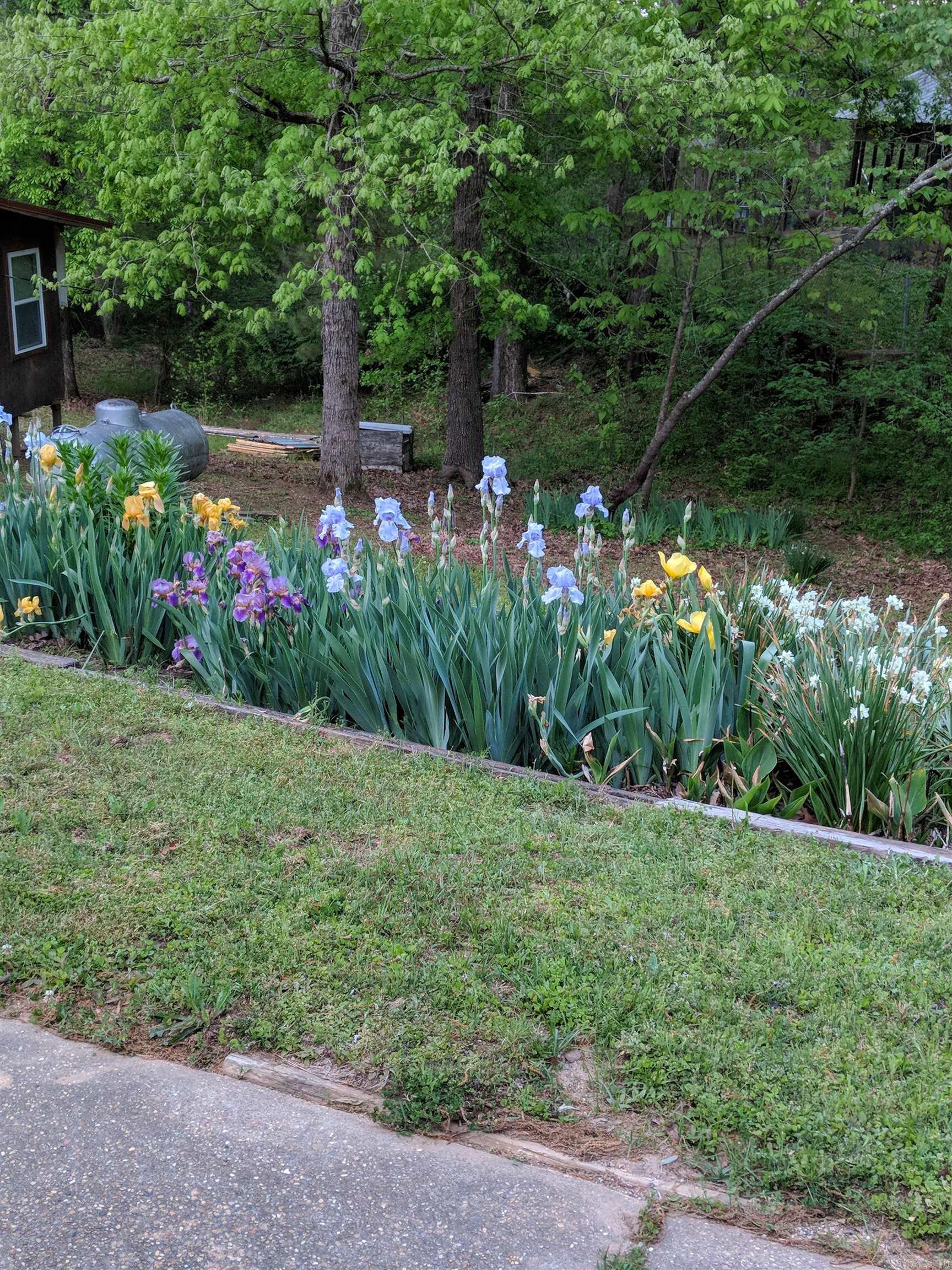 1010  Gum Springs  Rison, AR