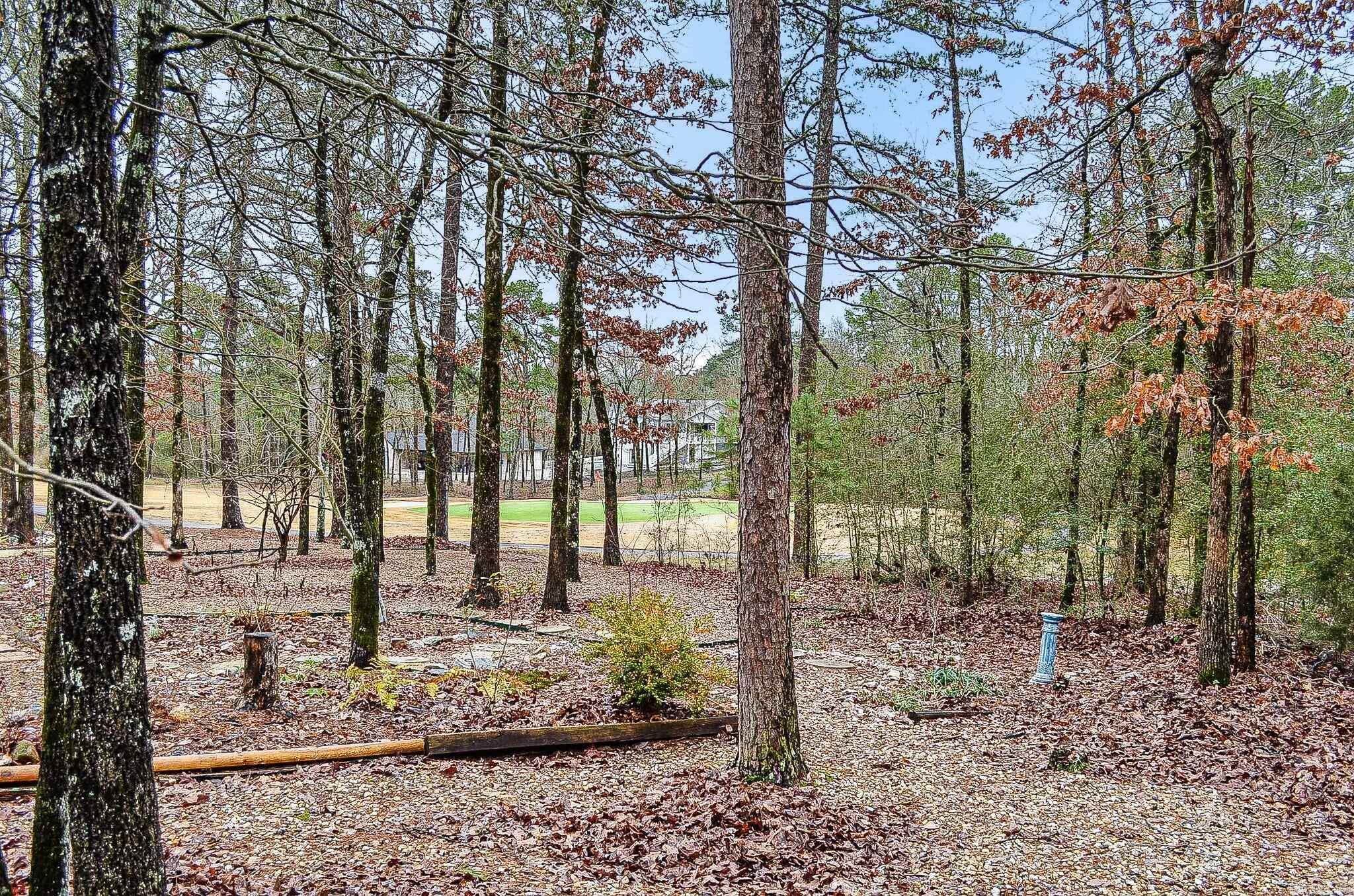 20  Fabulosa  Hot Springs Village, AR