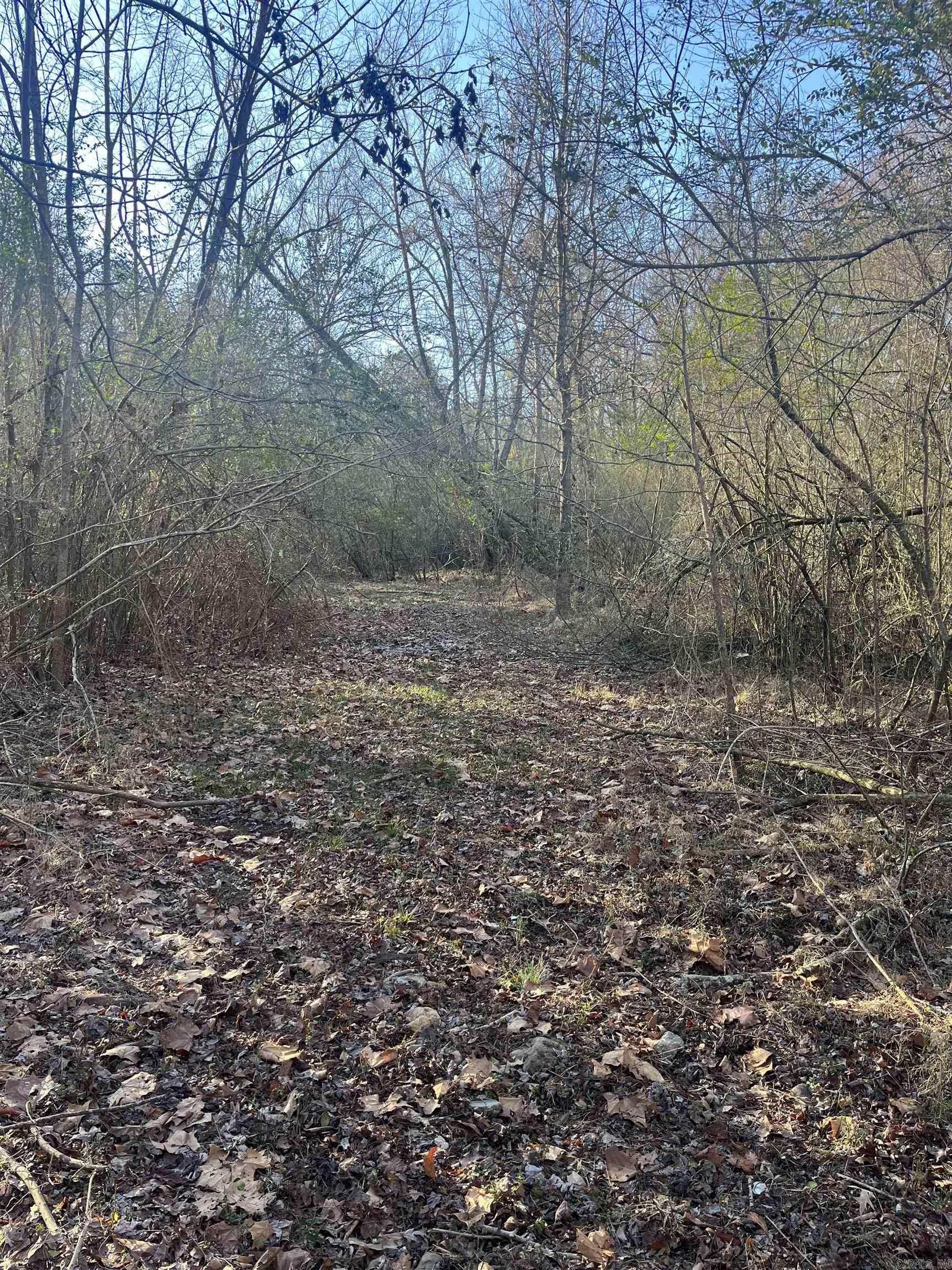   Off Pine Avenue  Mena, AR