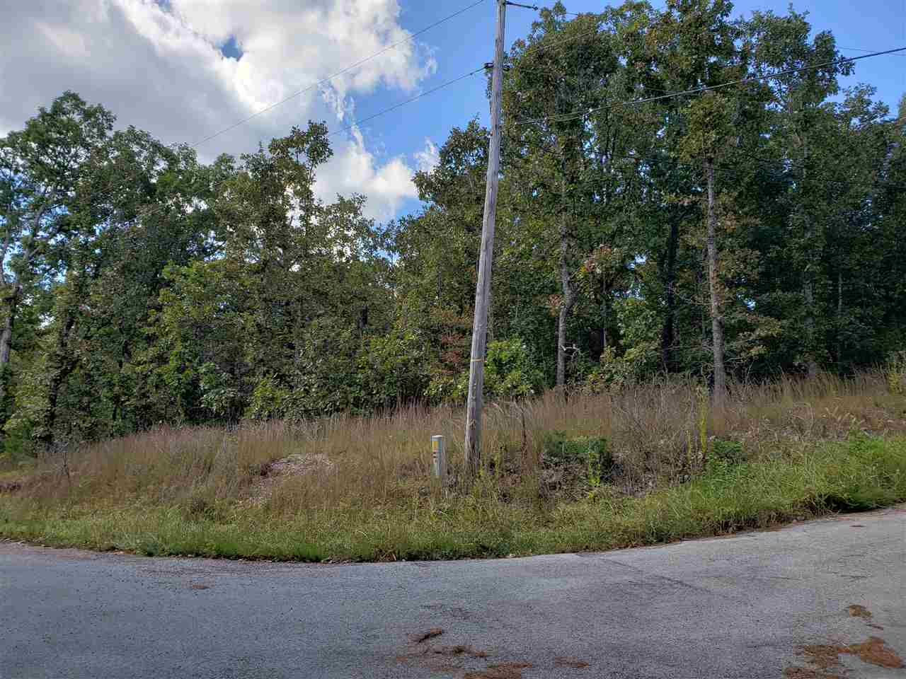 L-3 & 4, B-11  Meca  Cherokee Village, AR