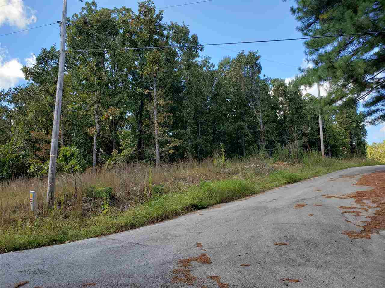 L-3 & 4, B-11  Meca  Cherokee Village, AR