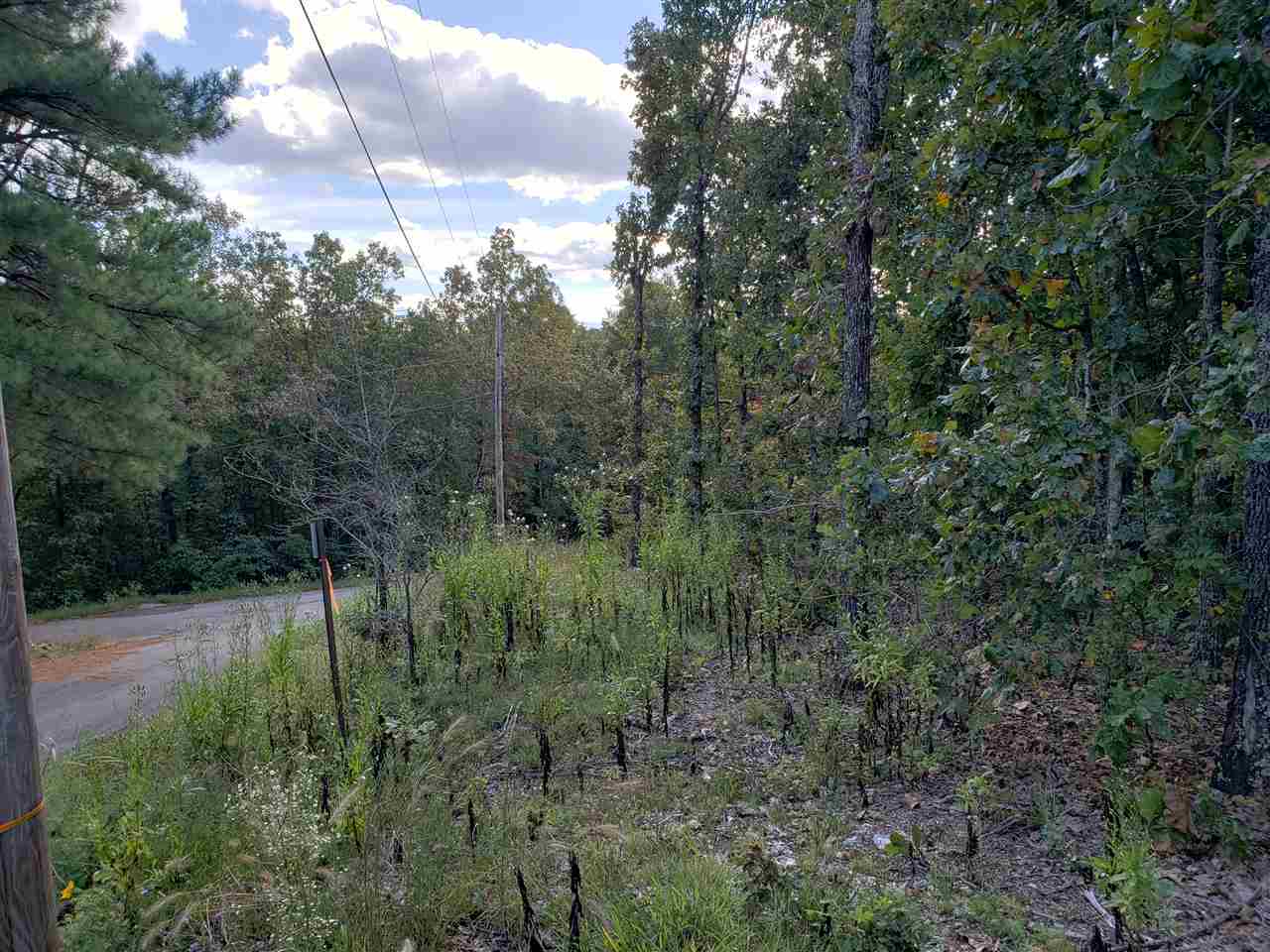 L-3 & 4, B-11  Meca  Cherokee Village, AR