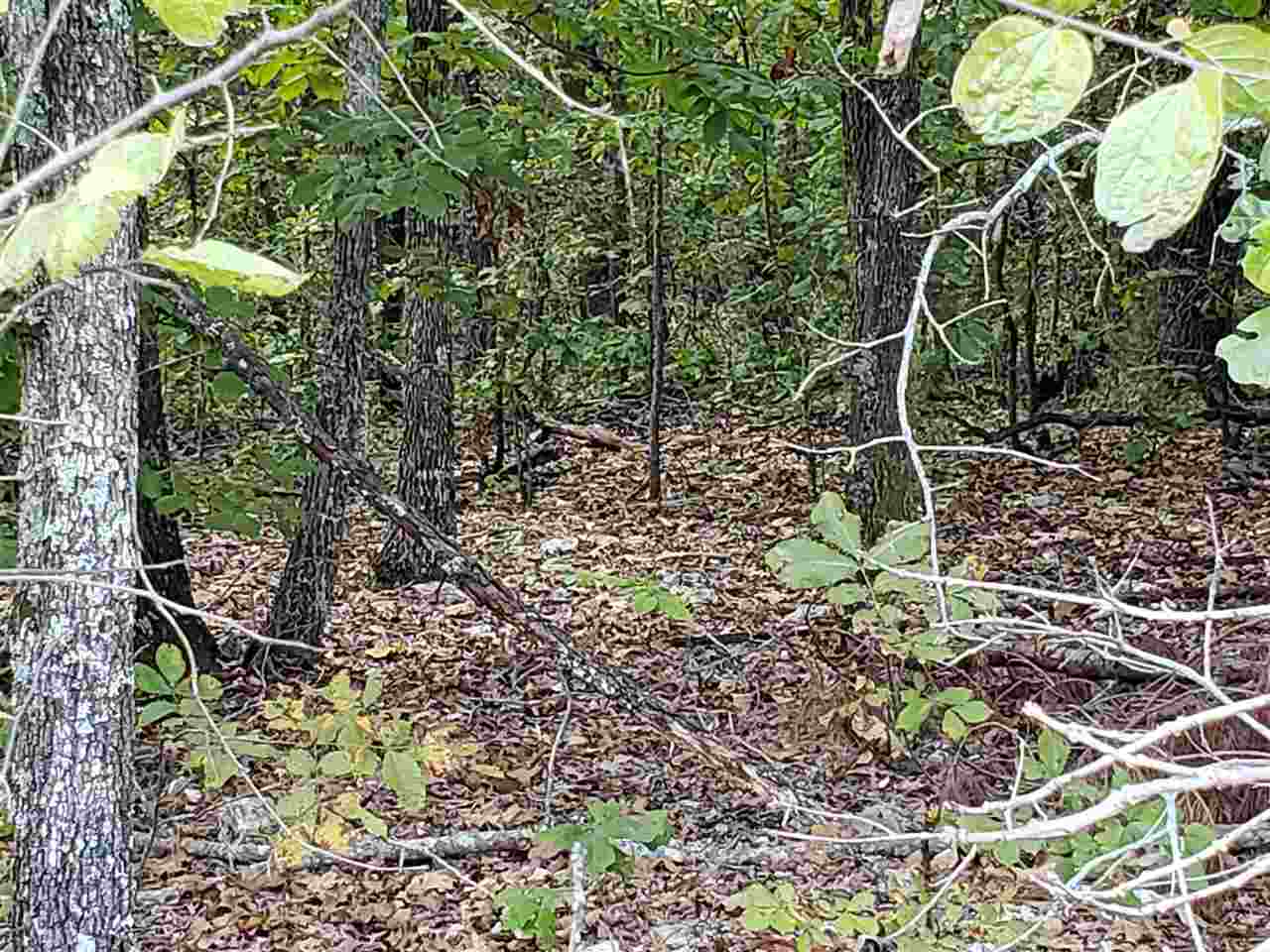 L-3 & 4, B-11  Meca  Cherokee Village, AR
