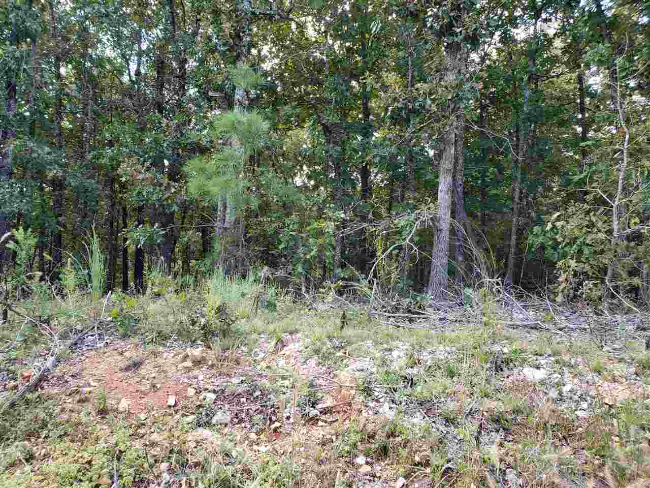 L-3 & 4, B-11  Meca  Cherokee Village, AR