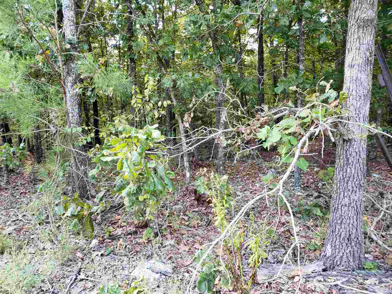 L-3 & 4, B-11  Meca  Cherokee Village, AR