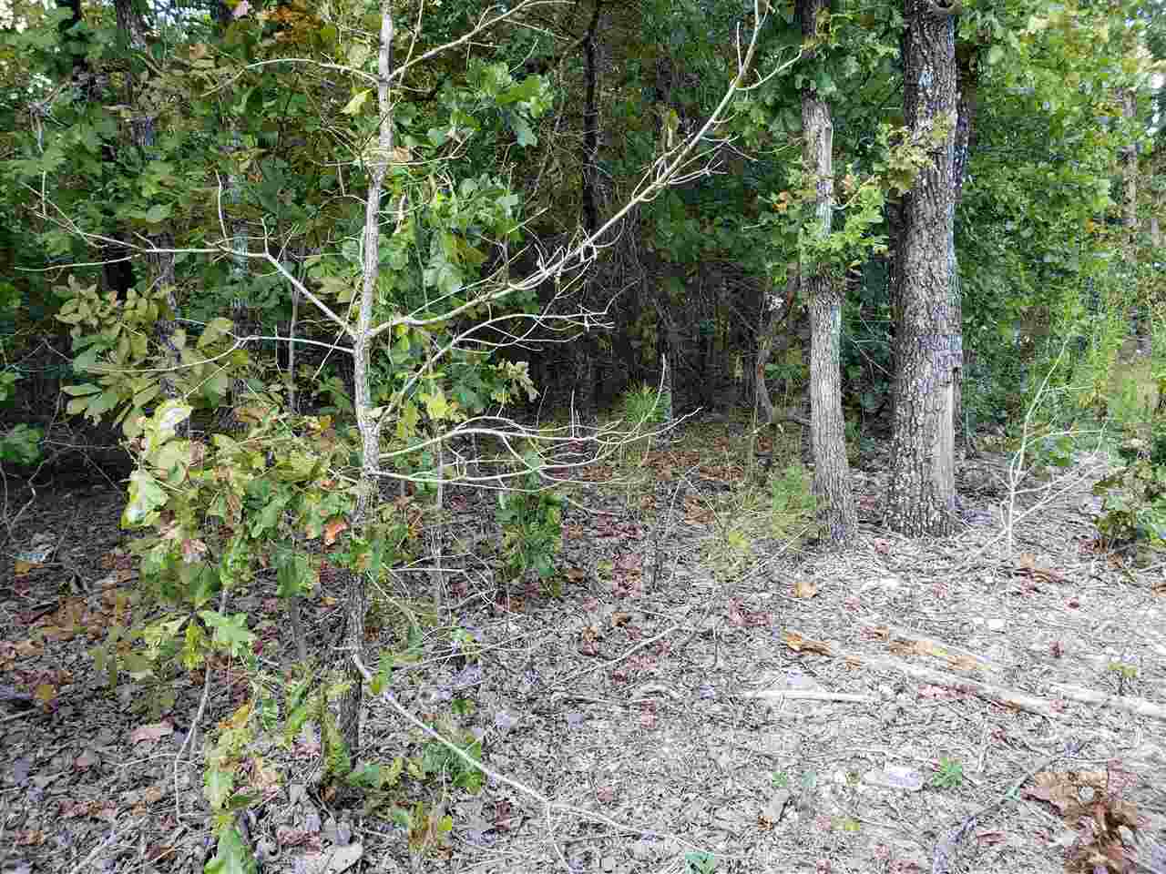 L-3 & 4, B-11  Meca  Cherokee Village, AR