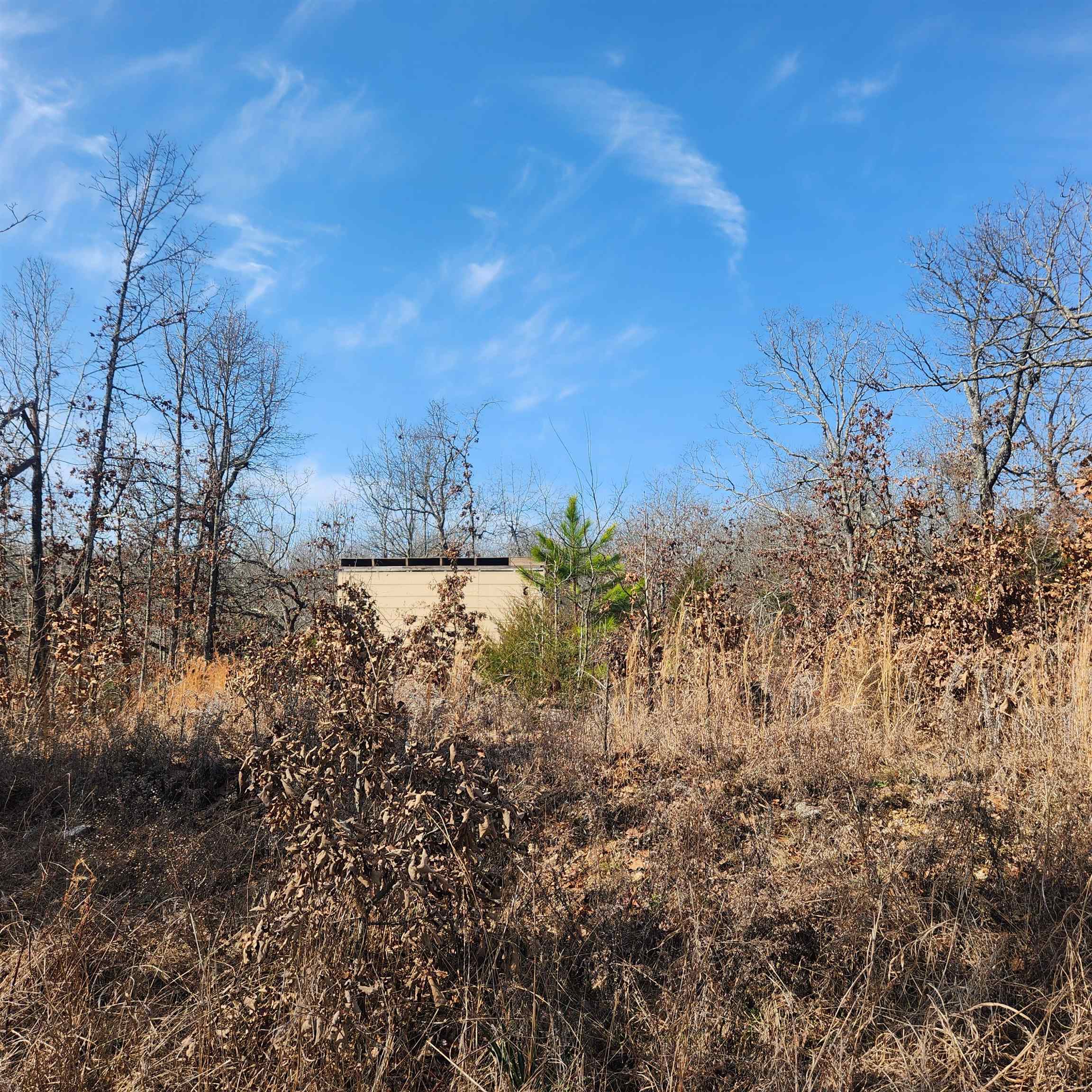 L-3 & 4, B-11  Meca  Cherokee Village, AR