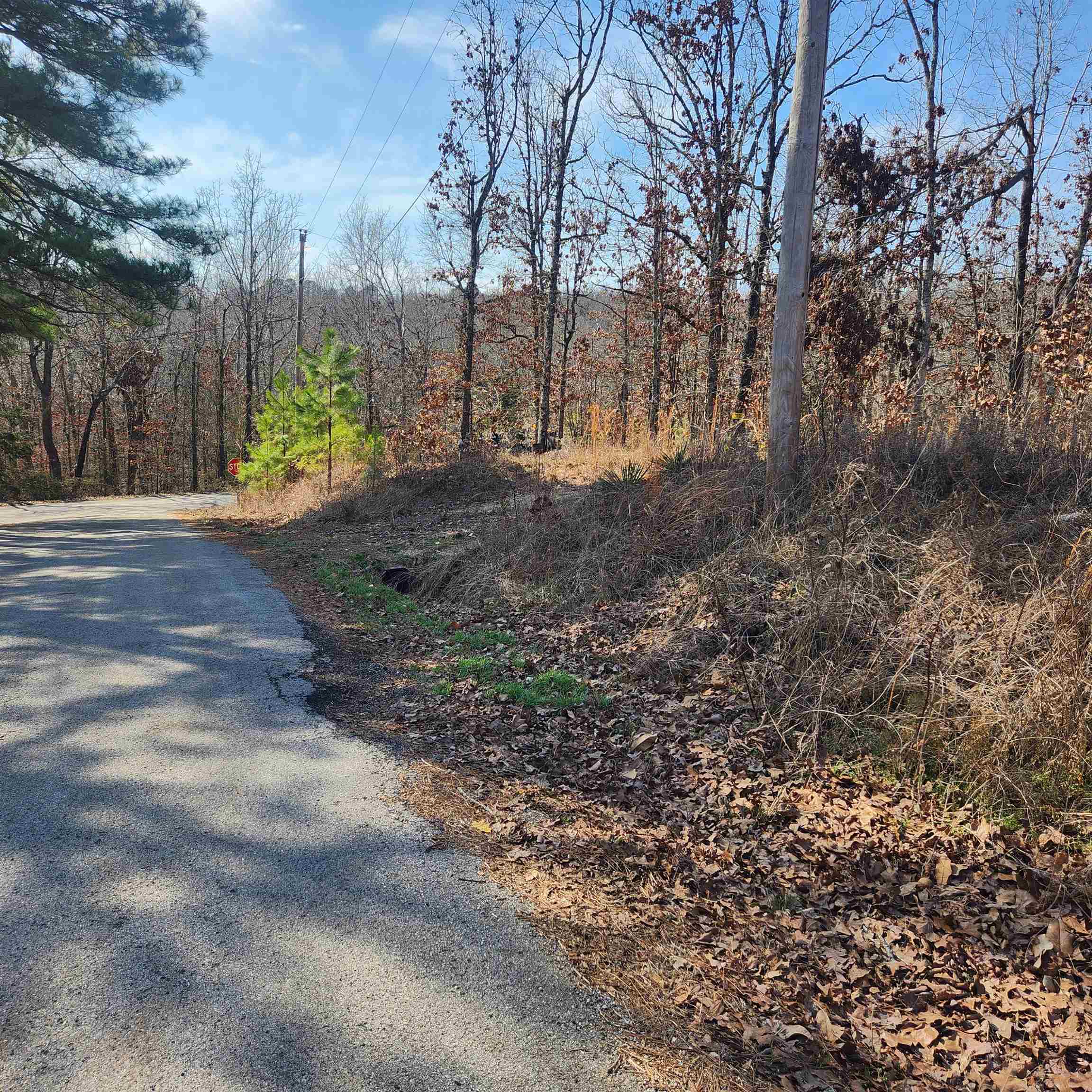 L-3 & 4, B-11  Meca  Cherokee Village, AR