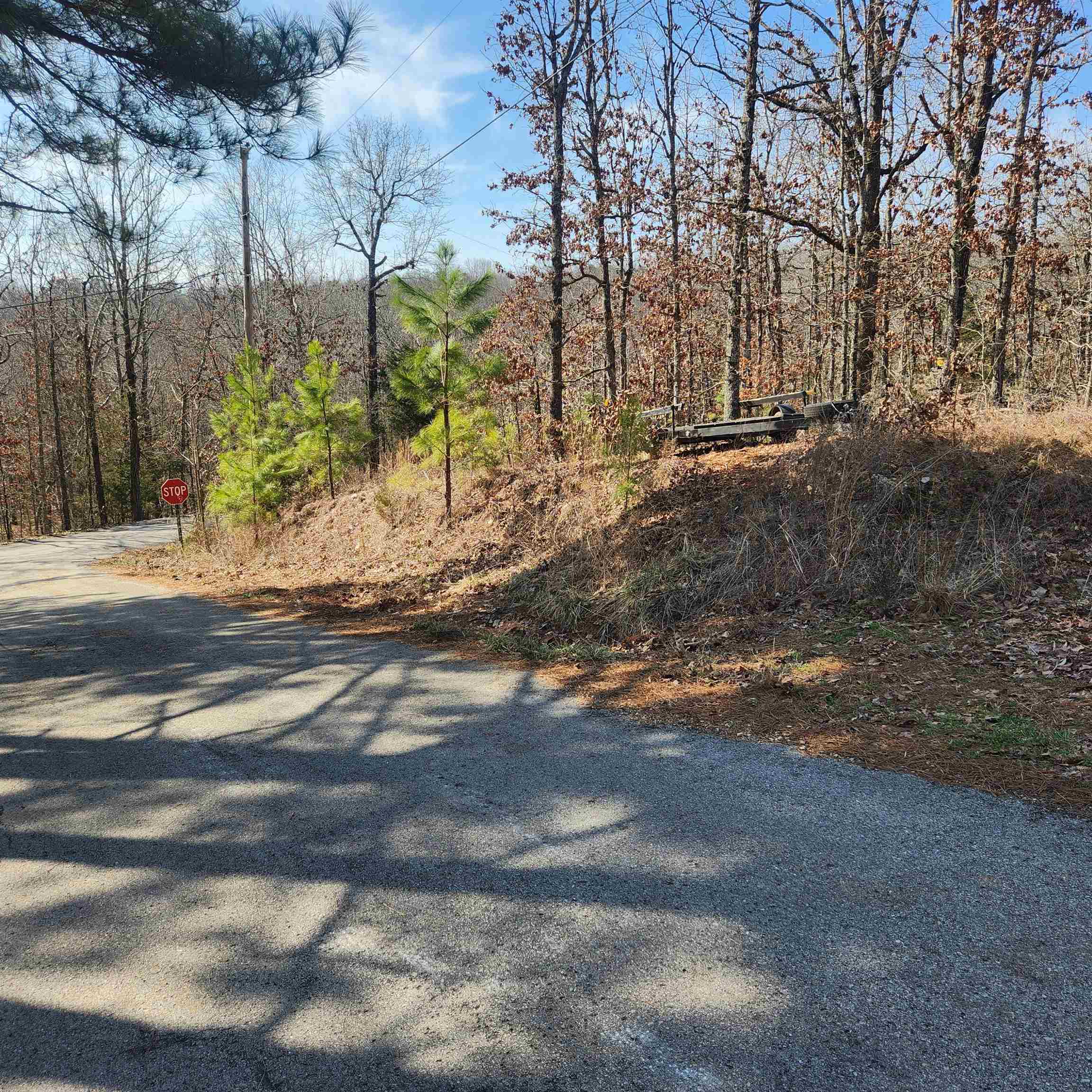 L-3 & 4, B-11  Meca  Cherokee Village, AR