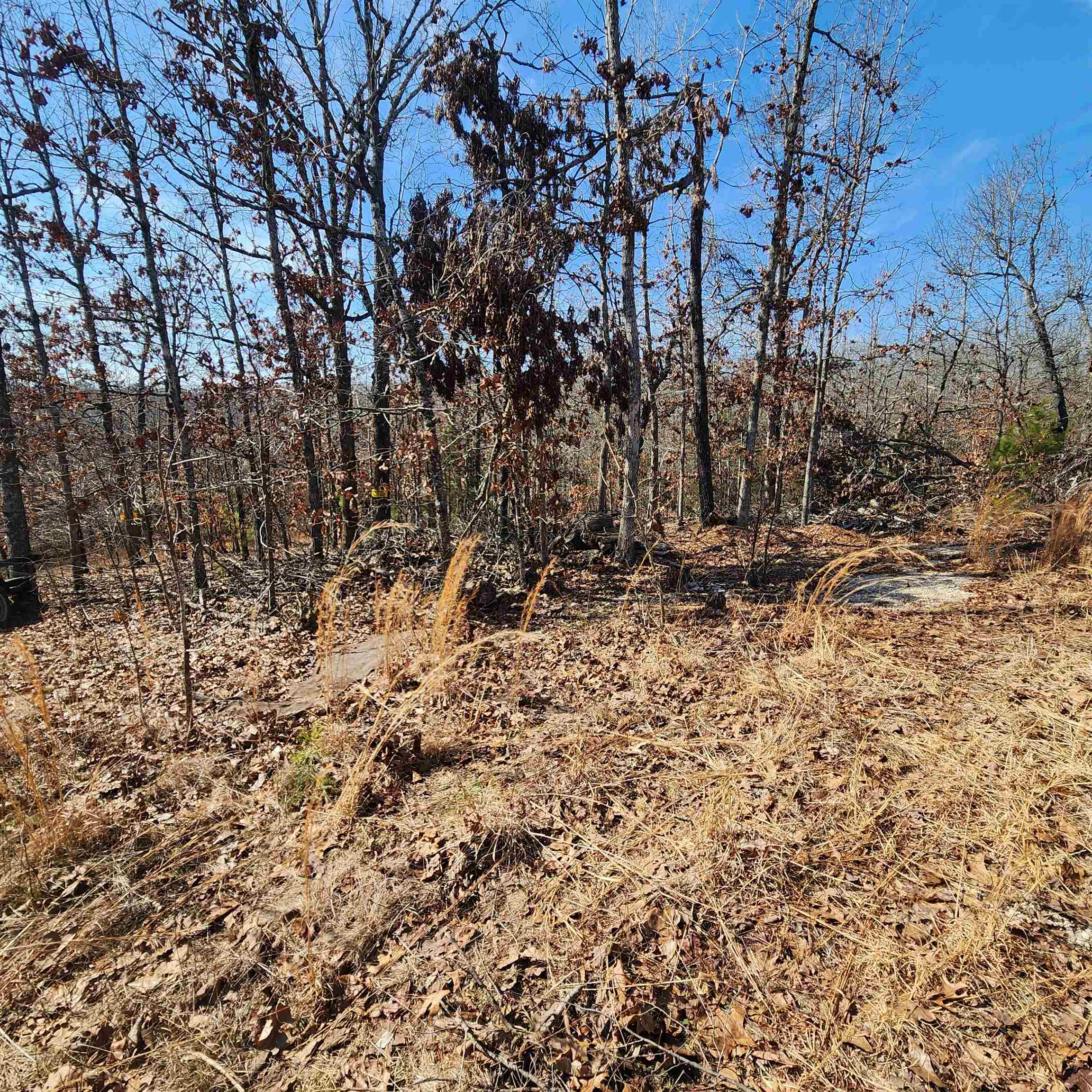 L-3 & 4, B-11  Meca  Cherokee Village, AR
