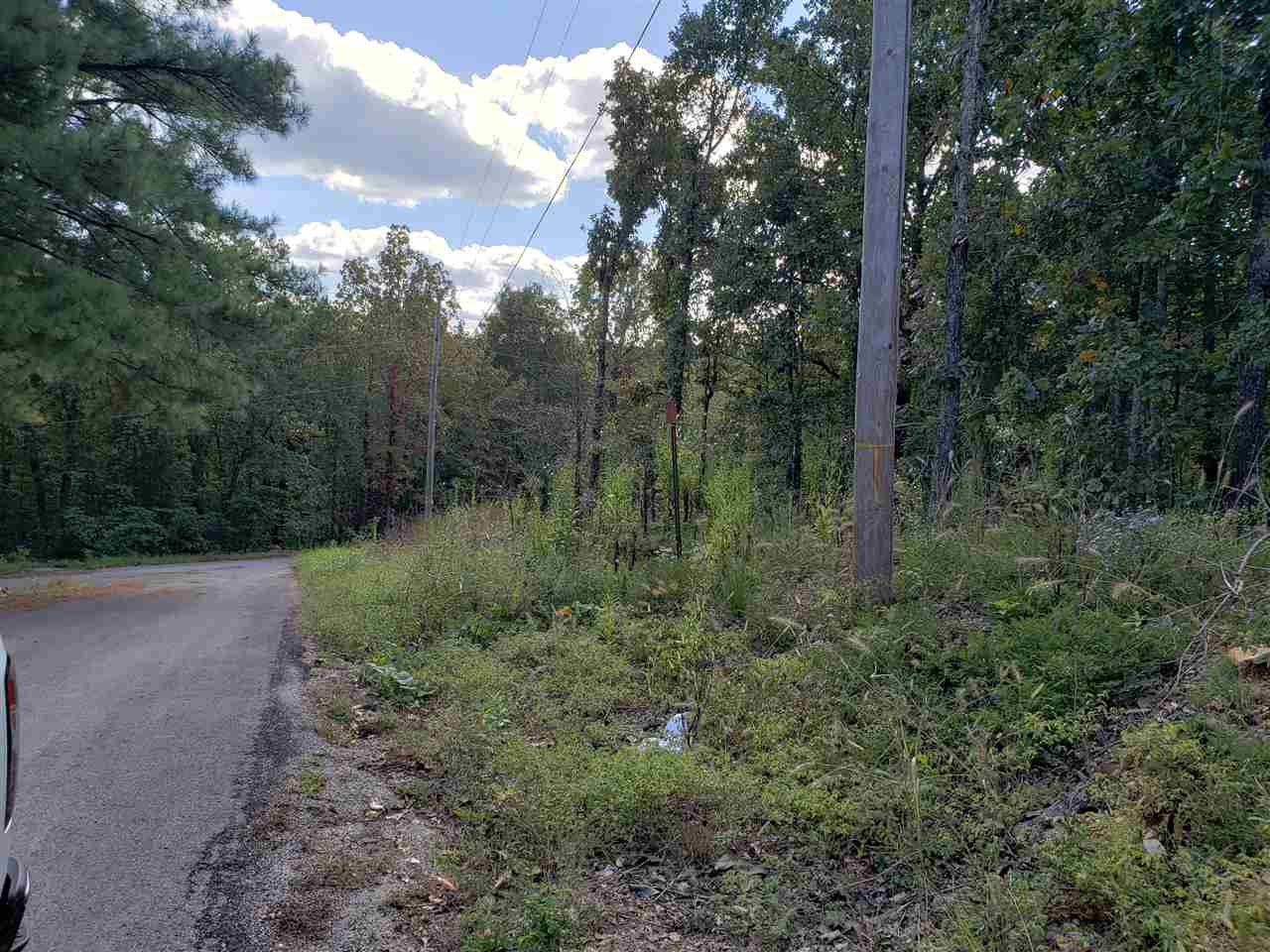 L-3 & 4, B-11  Meca  Cherokee Village, AR