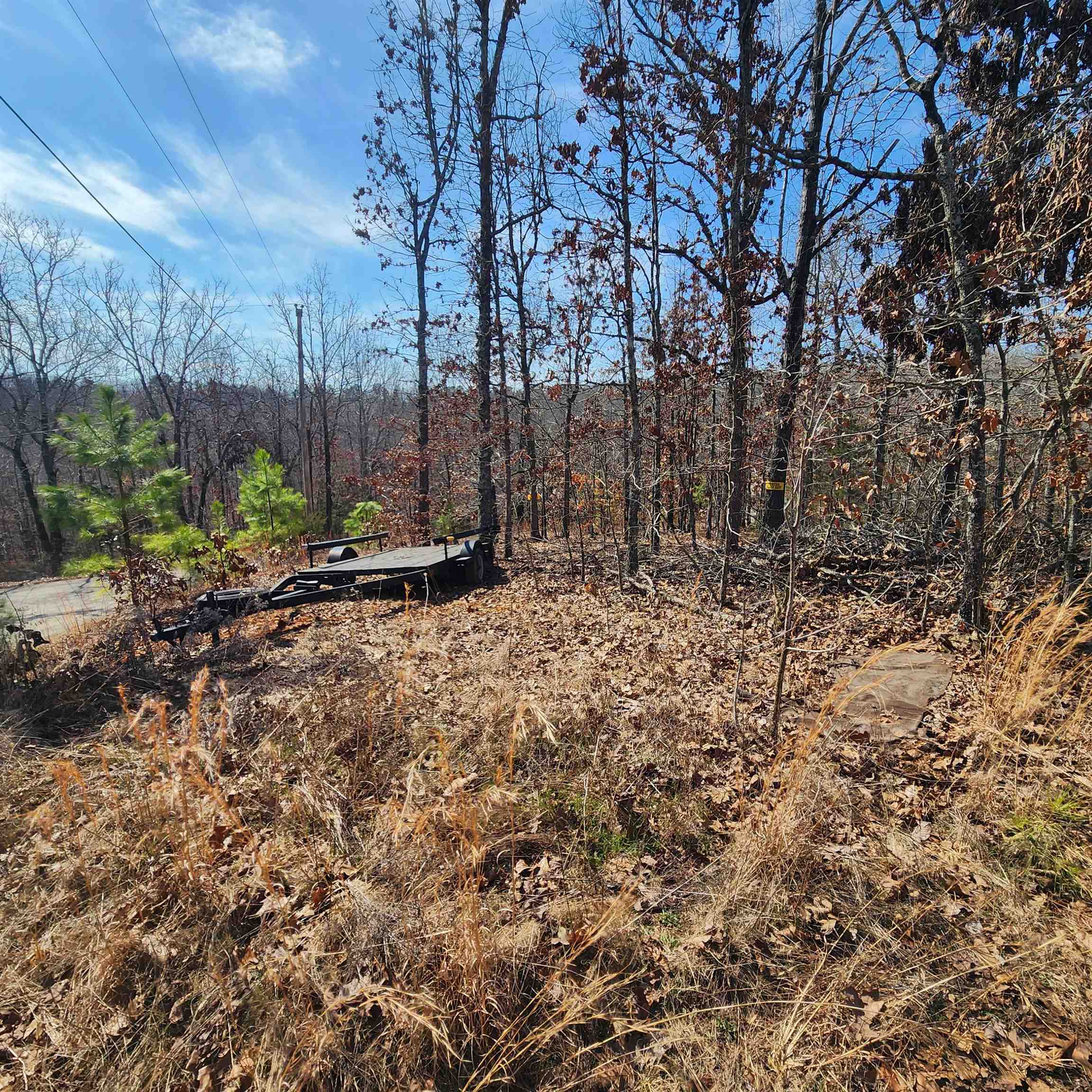 L-3 & 4, B-11  Meca  Cherokee Village, AR