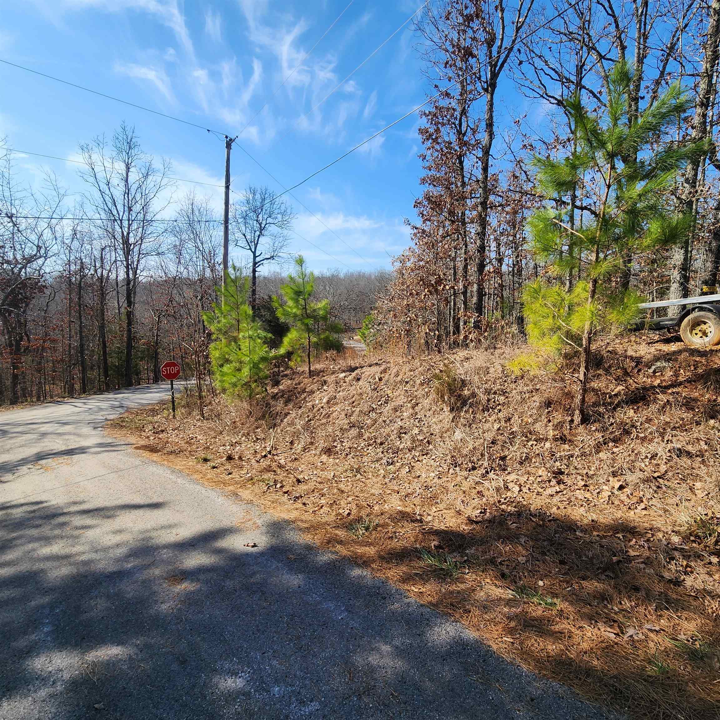 L-3 & 4, B-11  Meca  Cherokee Village, AR