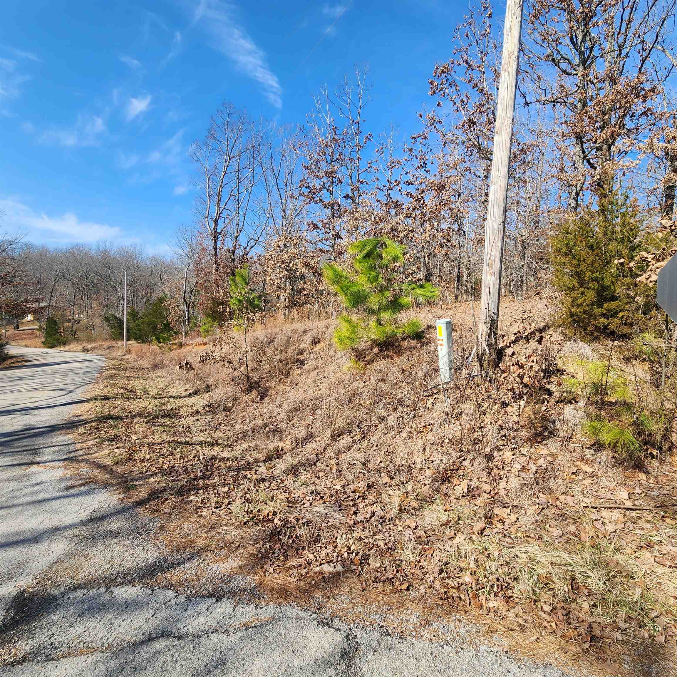 L-3 & 4, B-11  Meca  Cherokee Village, AR