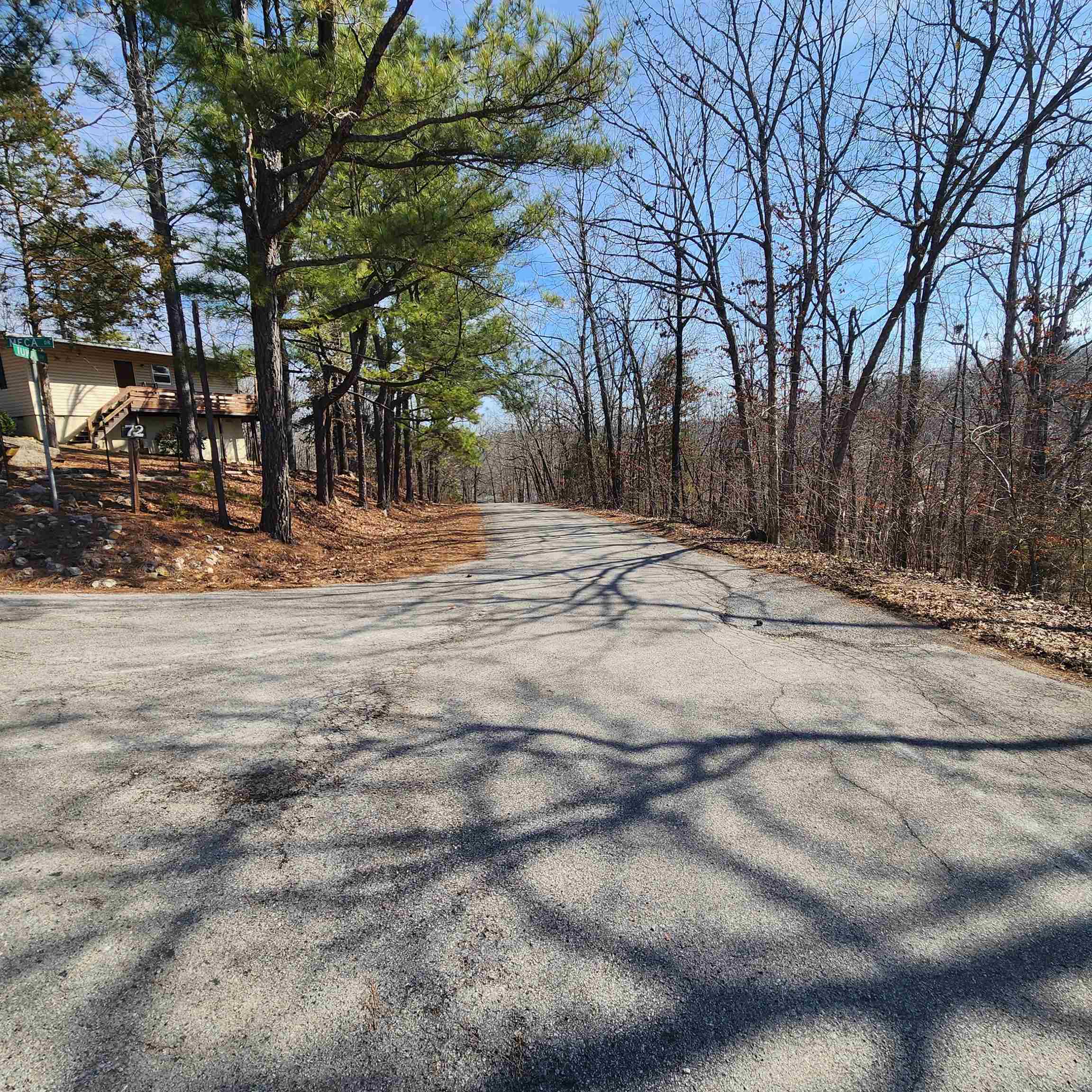 L-3 & 4, B-11  Meca  Cherokee Village, AR
