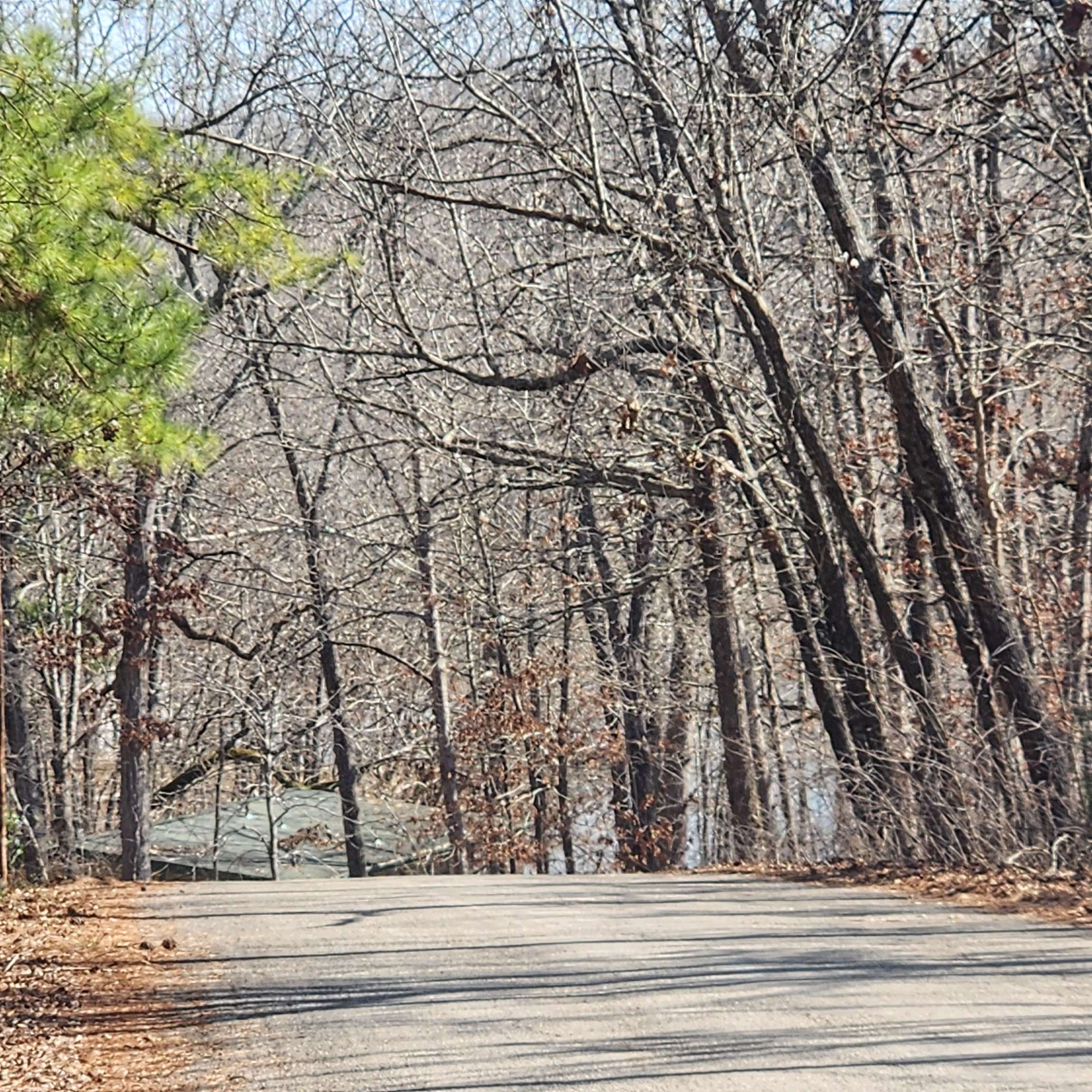 L-3 & 4, B-11  Meca  Cherokee Village, AR