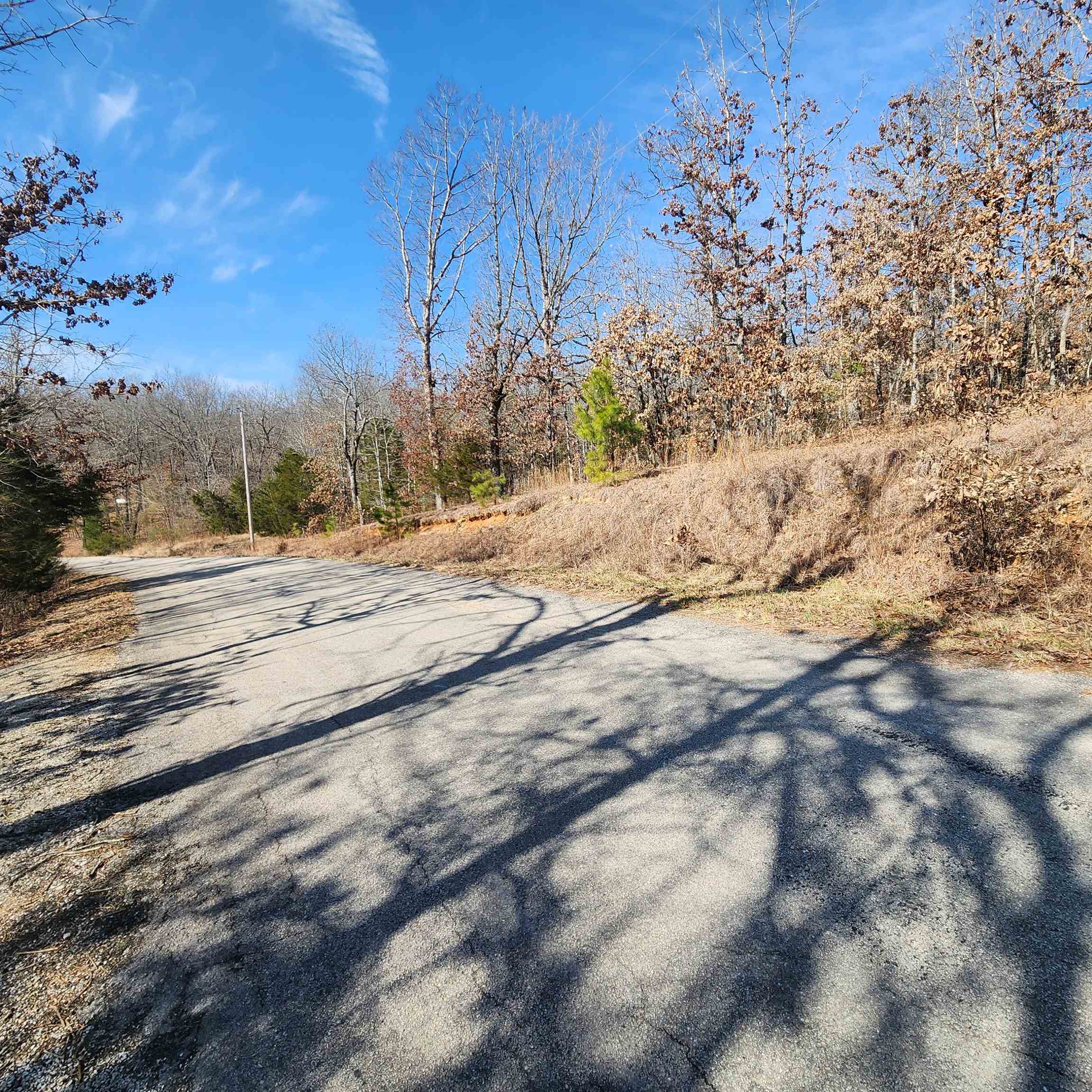 L-3 & 4, B-11  Meca  Cherokee Village, AR