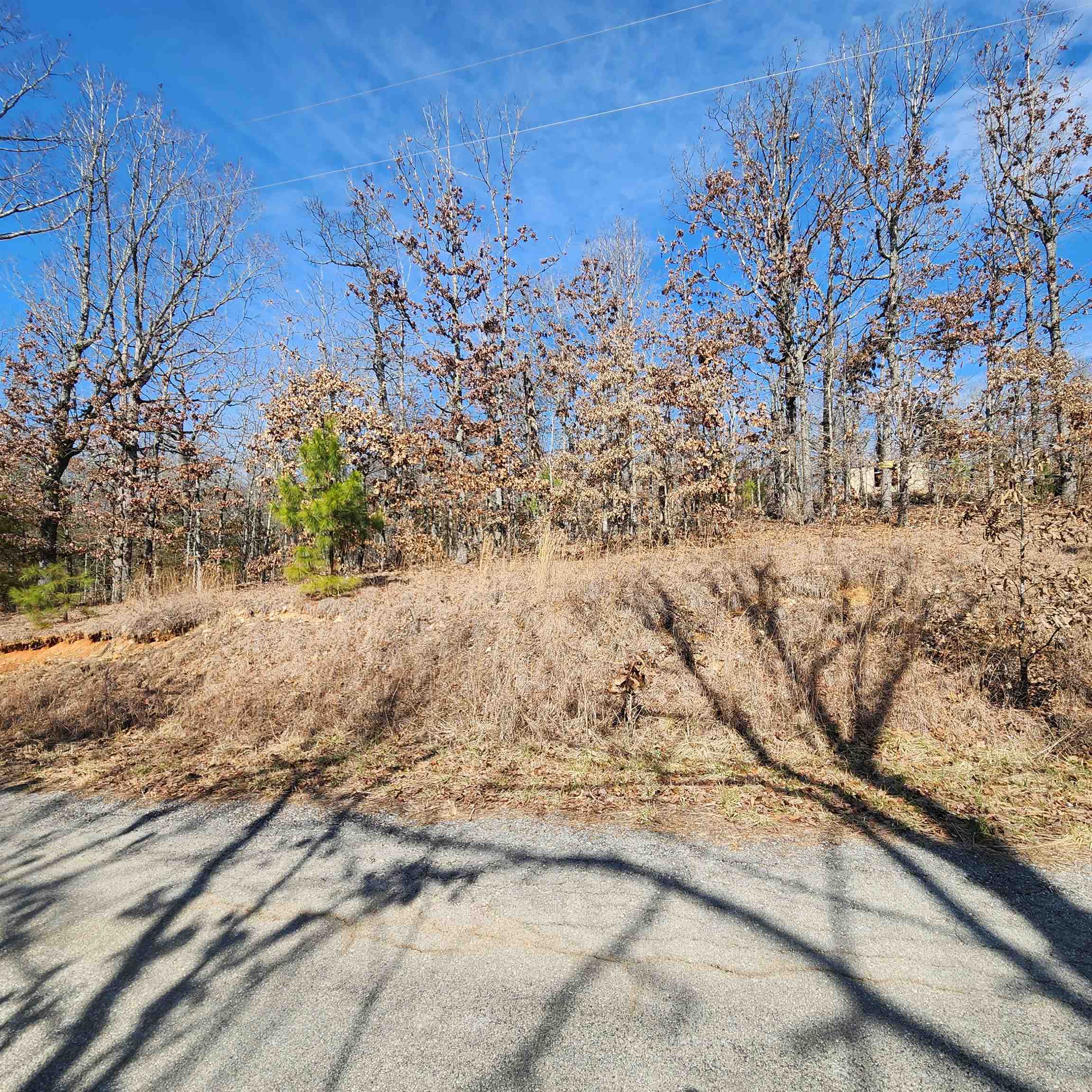 L-3 & 4, B-11  Meca  Cherokee Village, AR