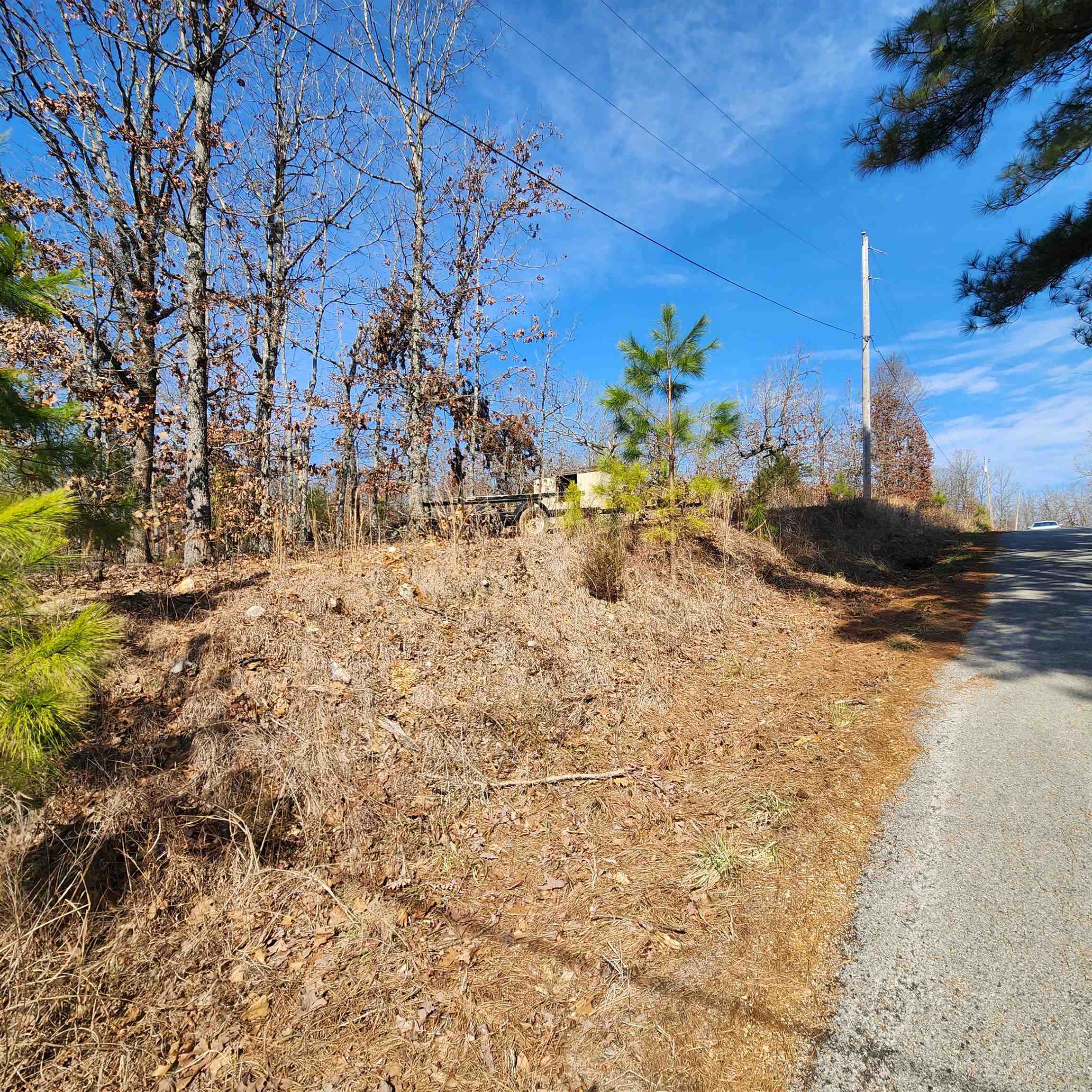 L-3 & 4, B-11  Meca  Cherokee Village, AR
