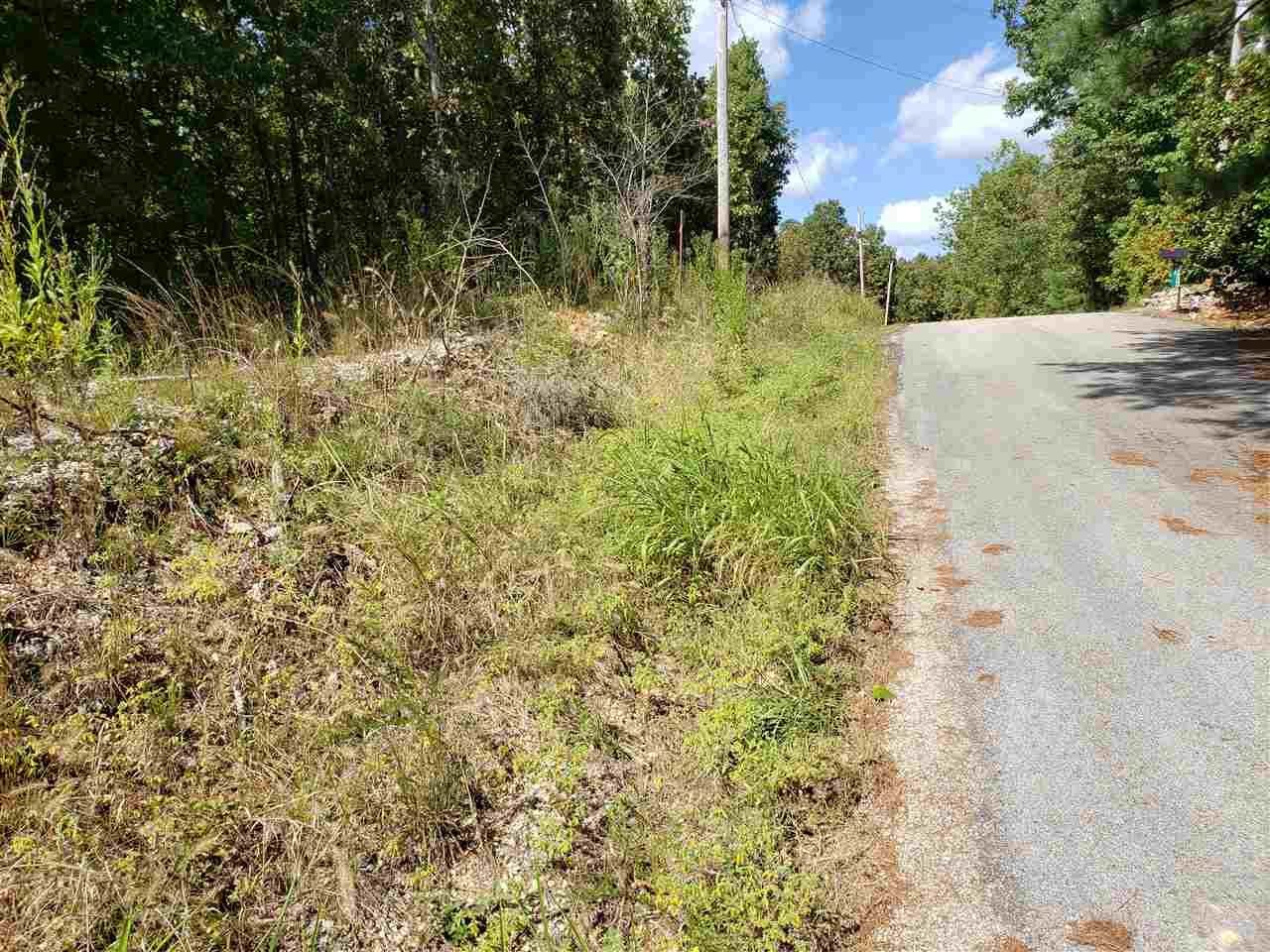 L-3 & 4, B-11  Meca  Cherokee Village, AR