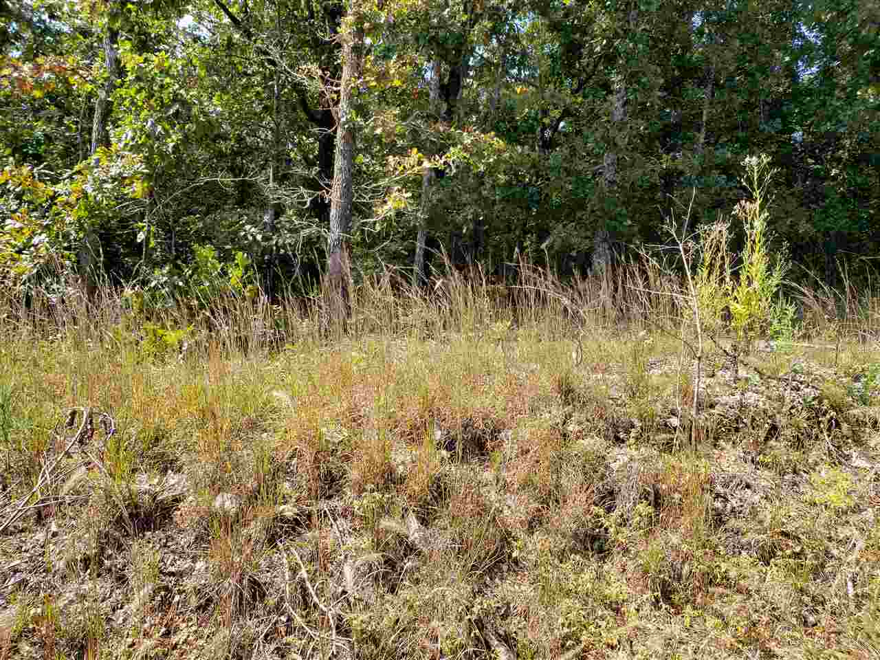 L-3 & 4, B-11  Meca  Cherokee Village, AR