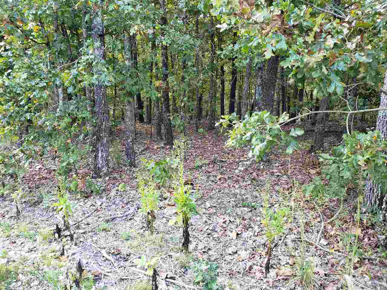 L-3 & 4, B-11  Meca  Cherokee Village, AR