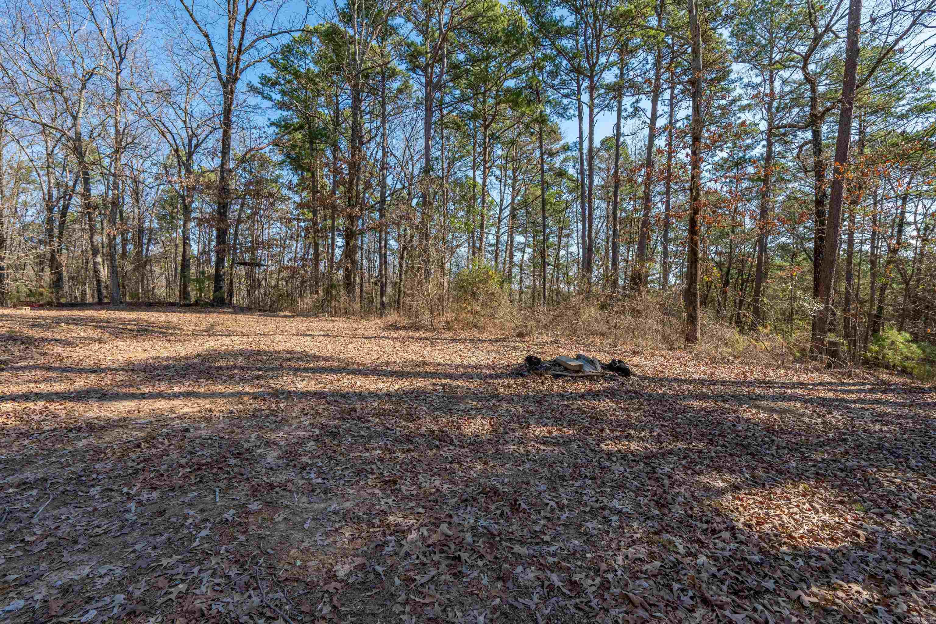 646  School  Amity, AR