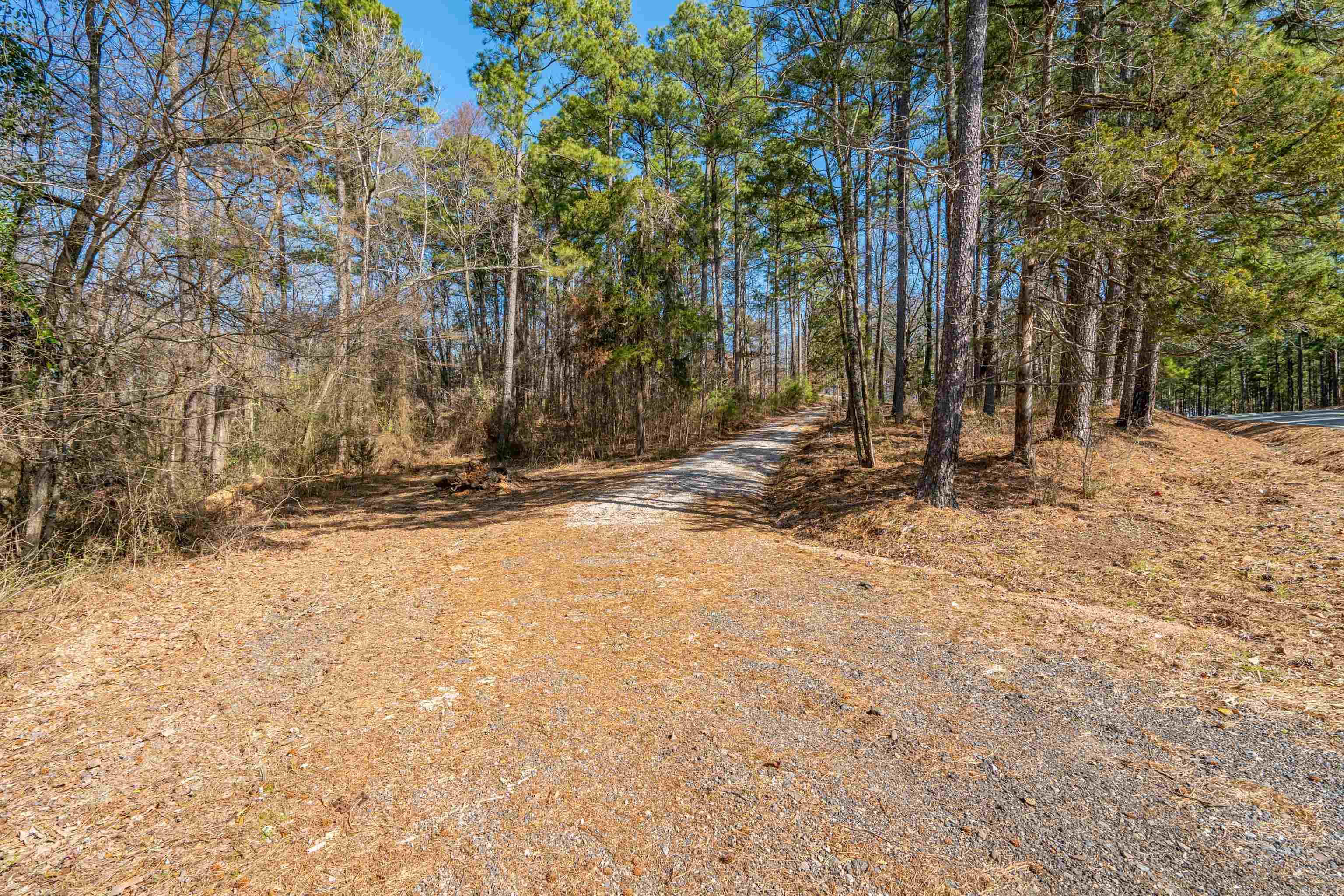 646  School  Amity, AR