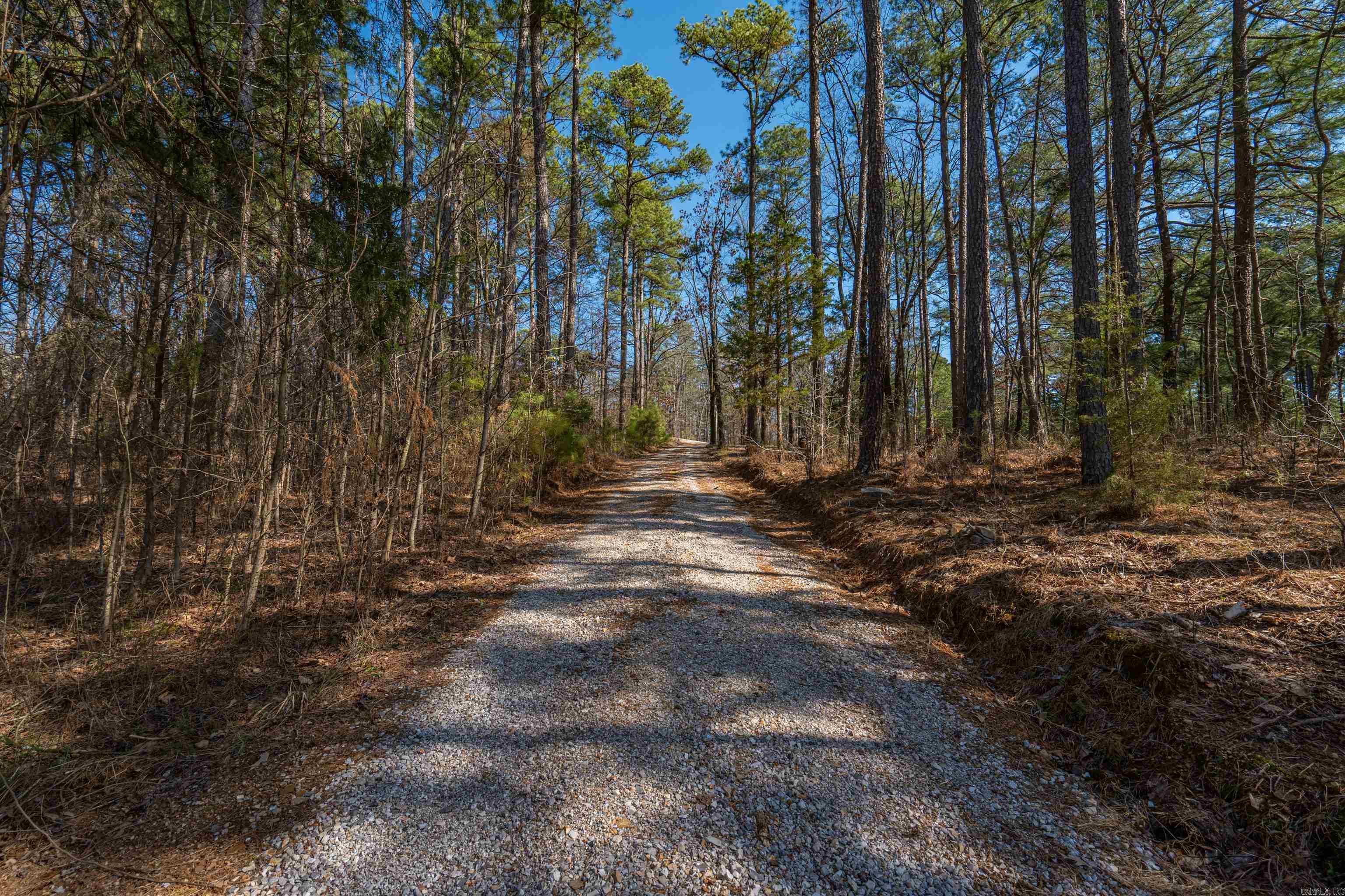 646  School  Amity, AR