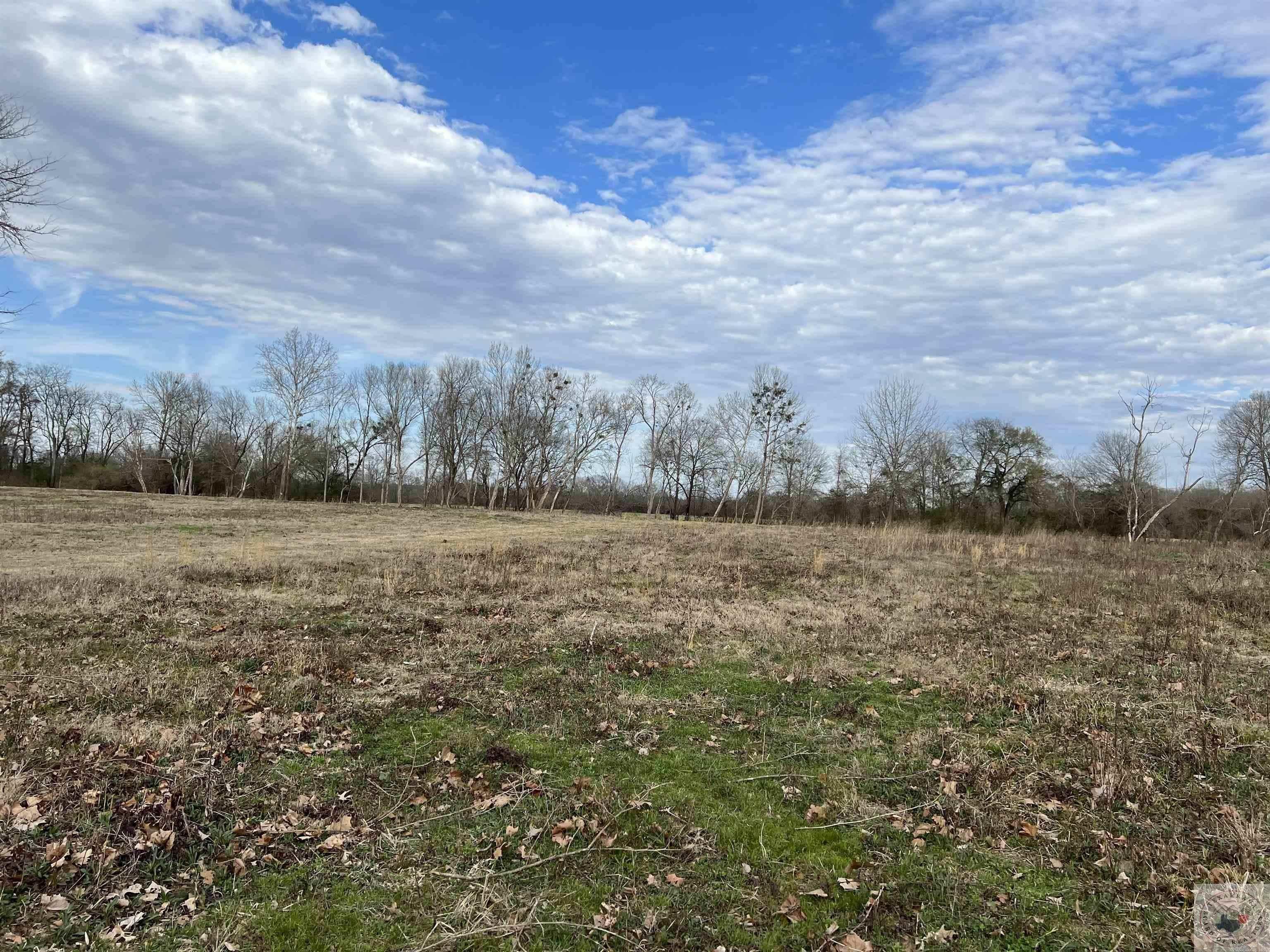 Lot 19  Brian Harris Drive  Murfreesboro, AR