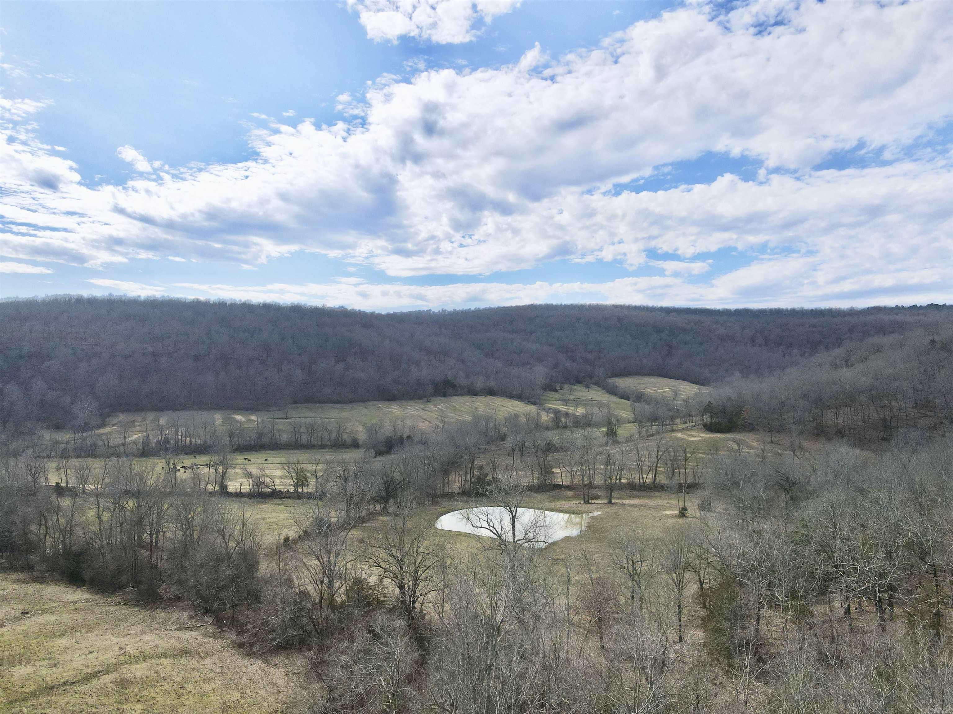 3894  Begley Creek Rd.  Leslie, AR