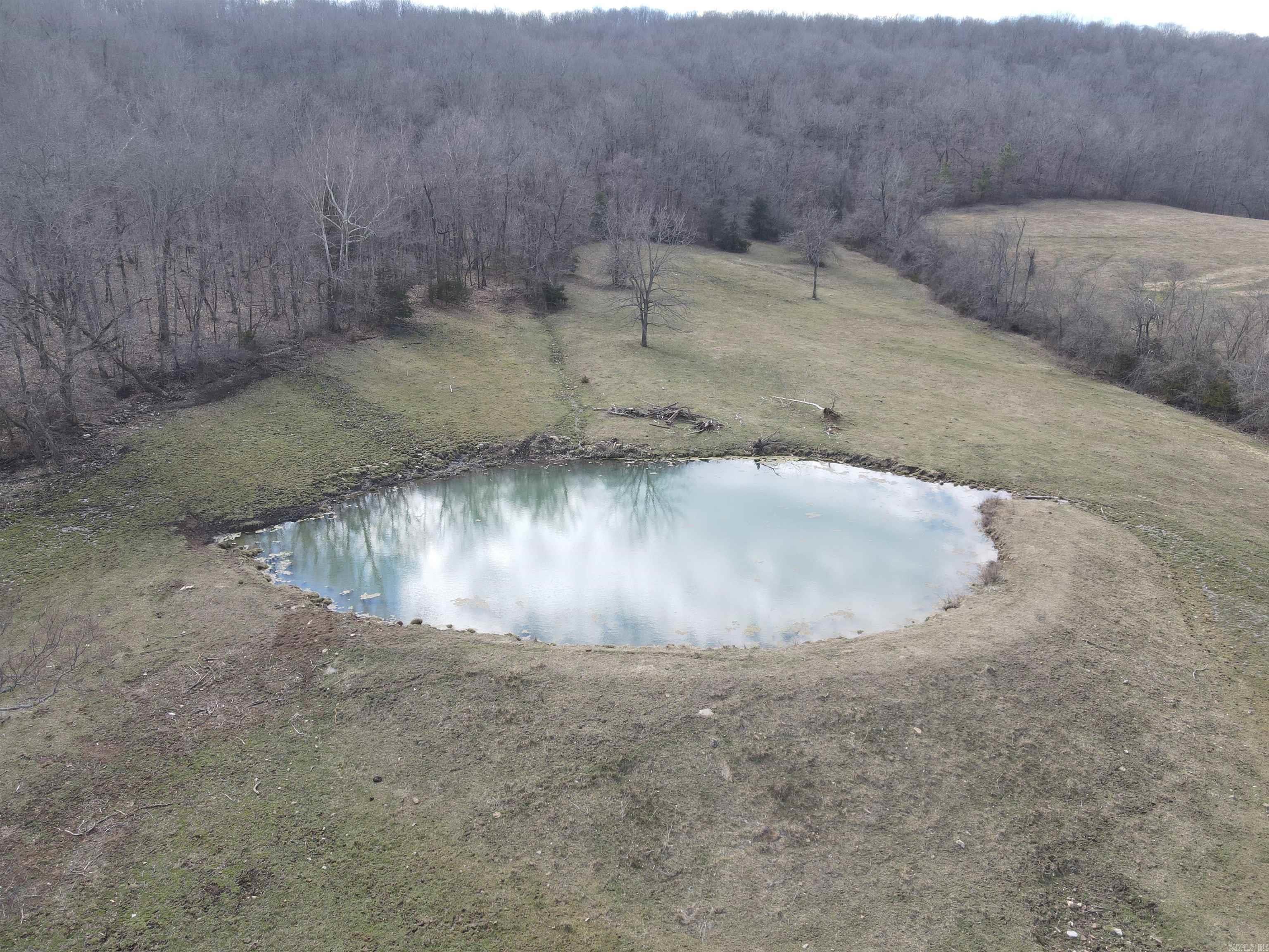 3894  Begley Creek Rd.  Leslie, AR