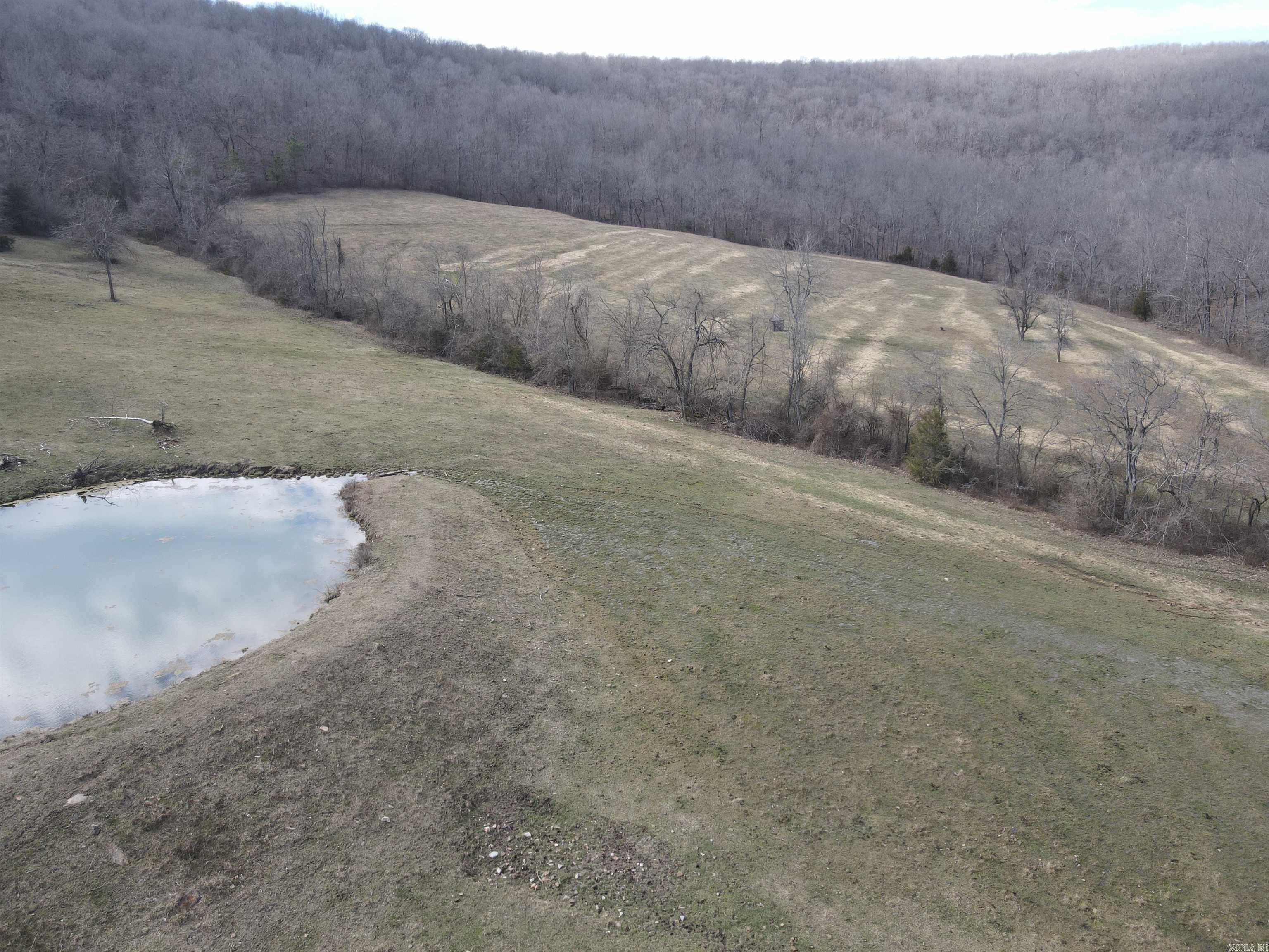 3894  Begley Creek Rd.  Leslie, AR