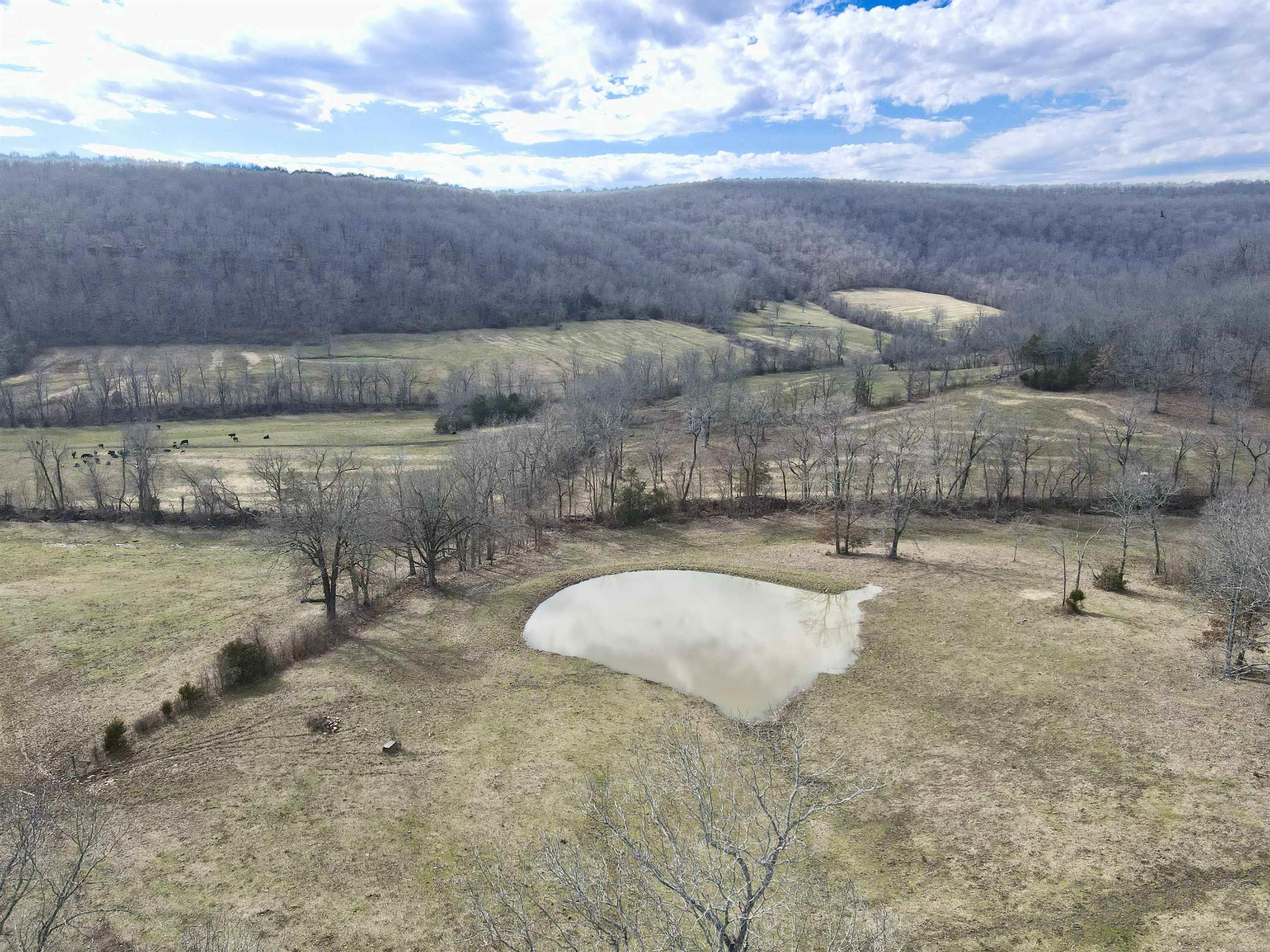 3894  Begley Creek Rd.  Leslie, AR