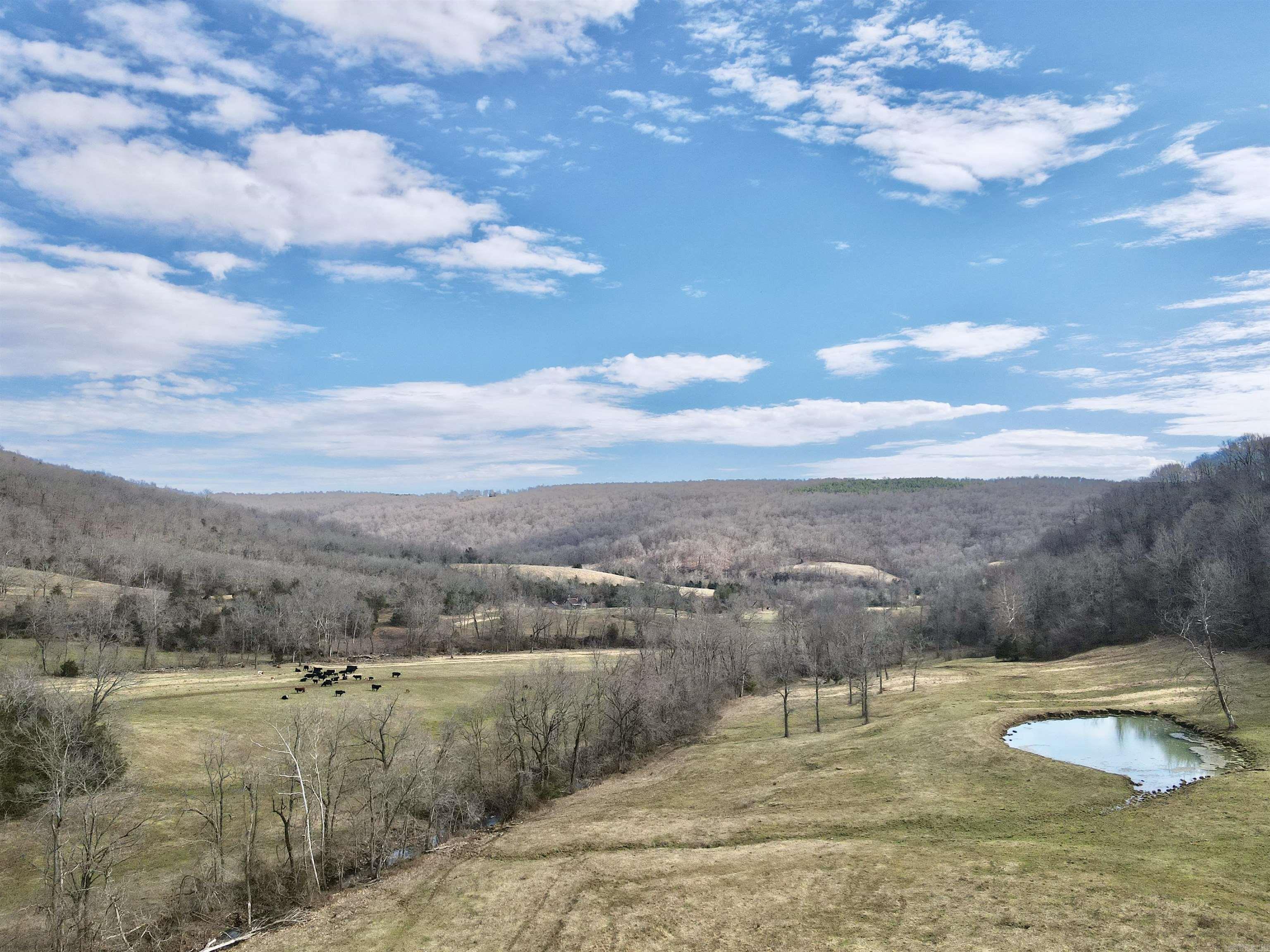 3894  Begley Creek Rd.  Leslie, AR