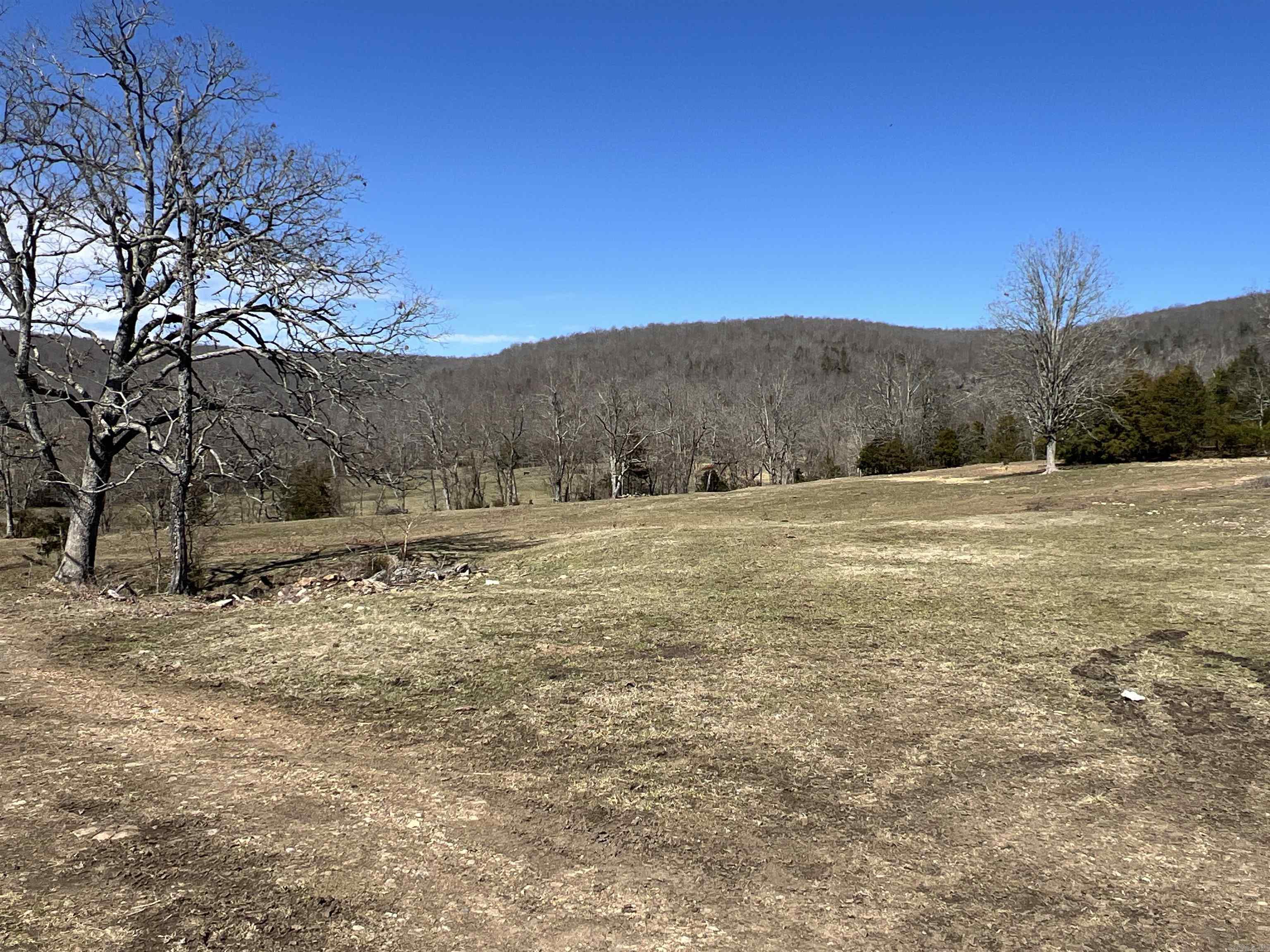 3894  Begley Creek Rd.  Leslie, AR